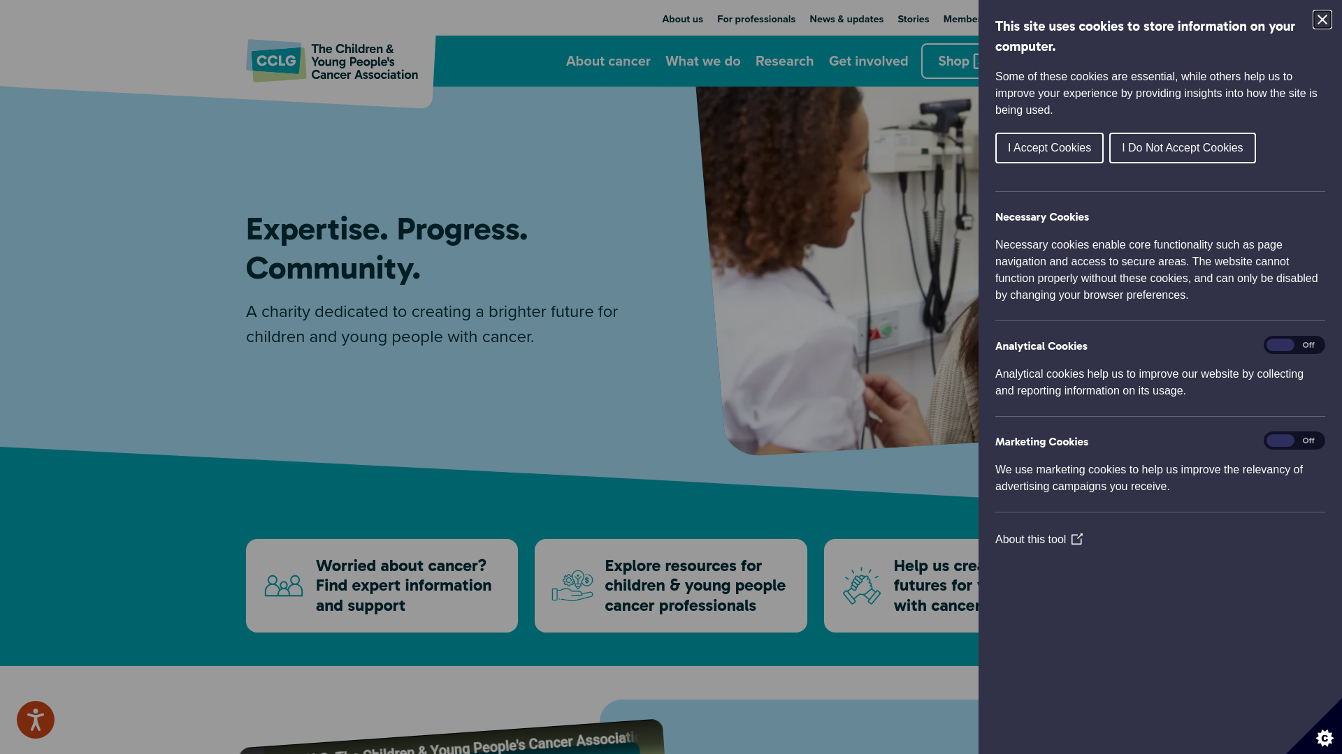 Website screenshot