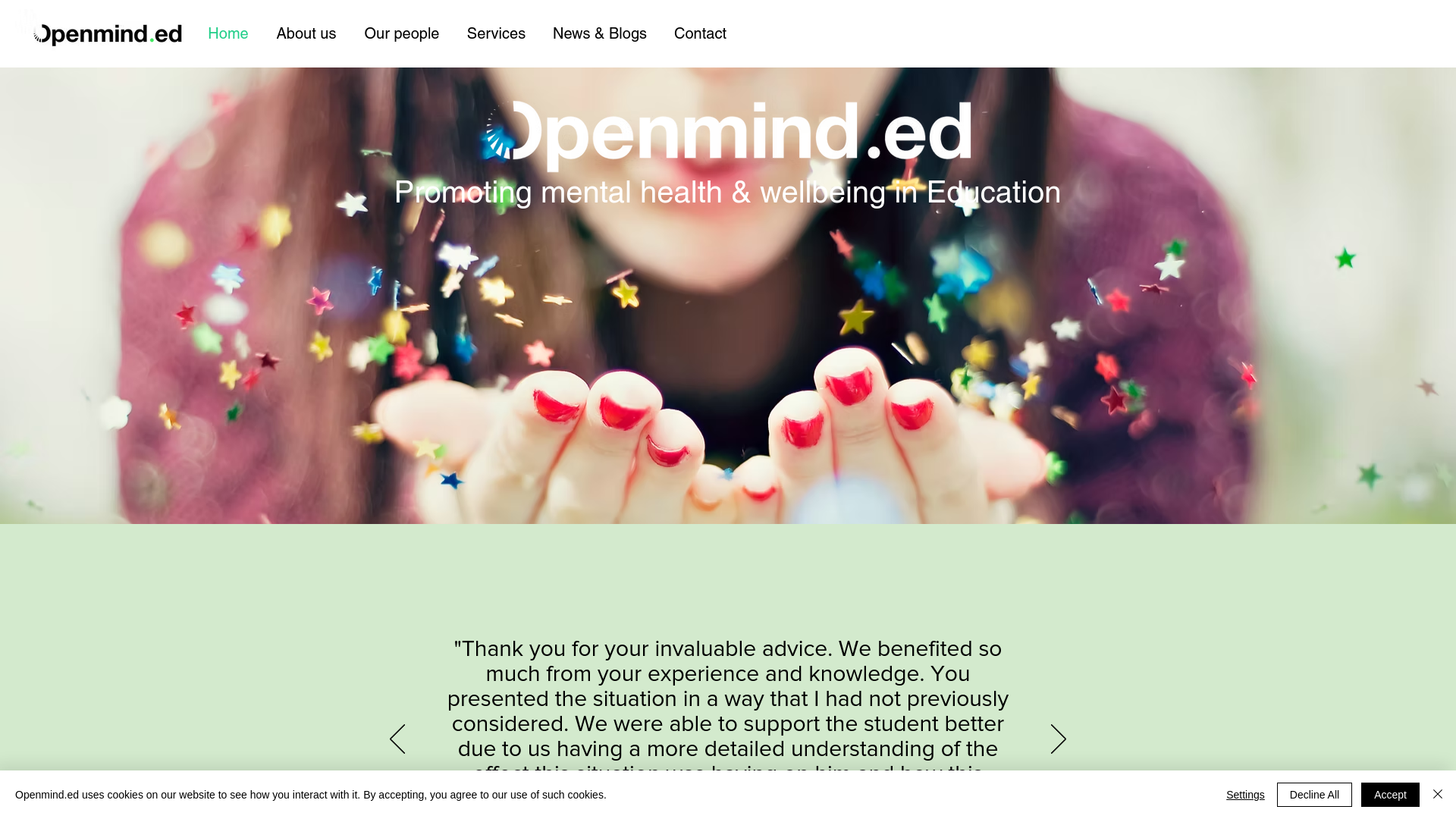 Website screenshot