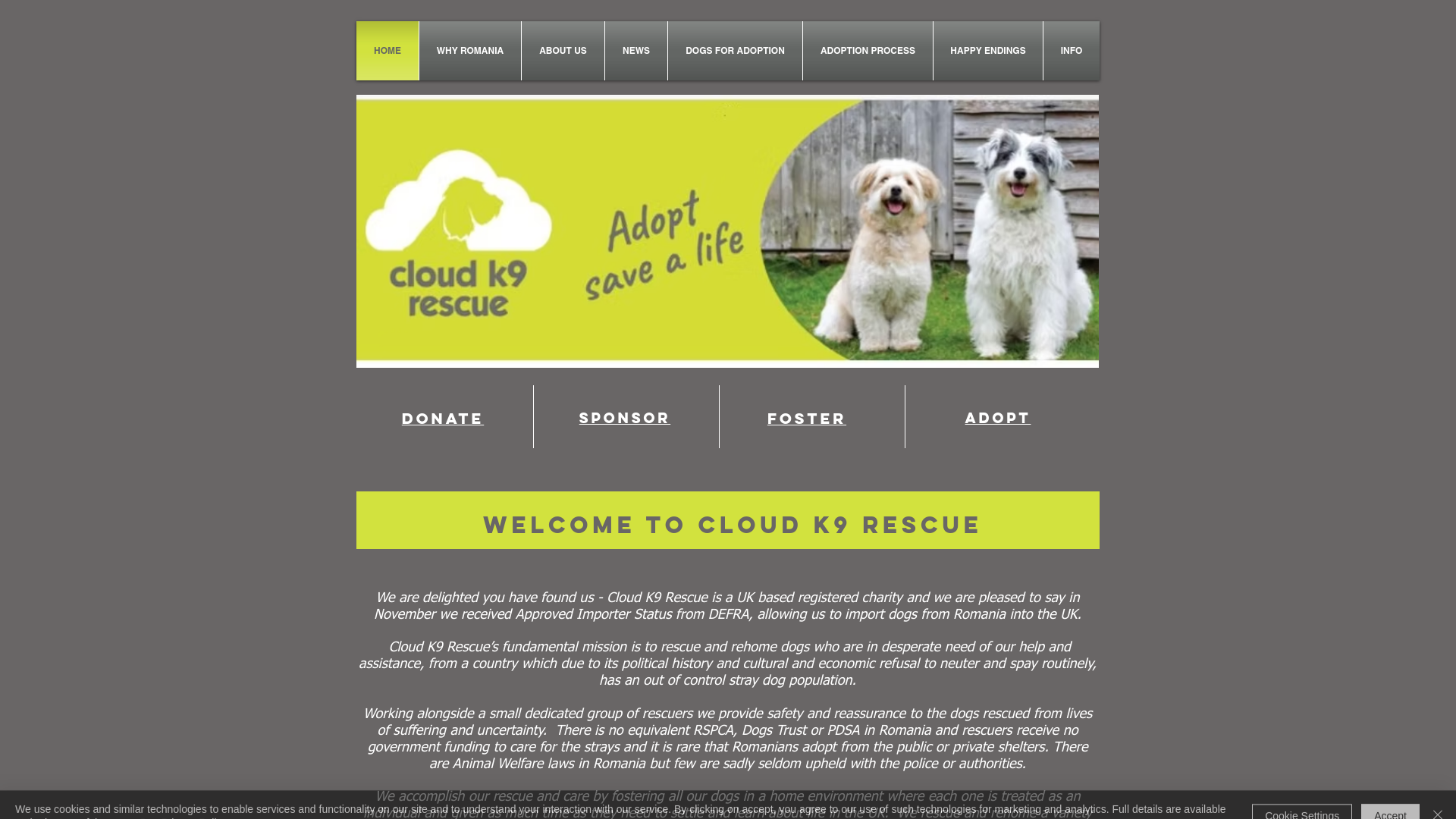 Website screenshot