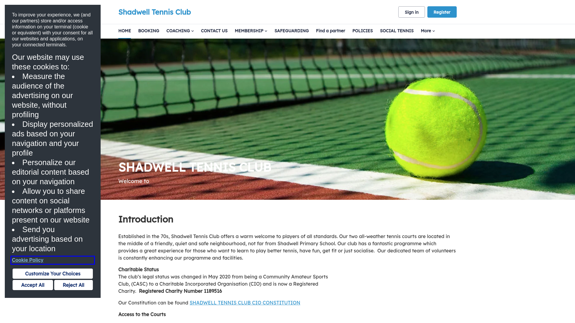 Website screenshot