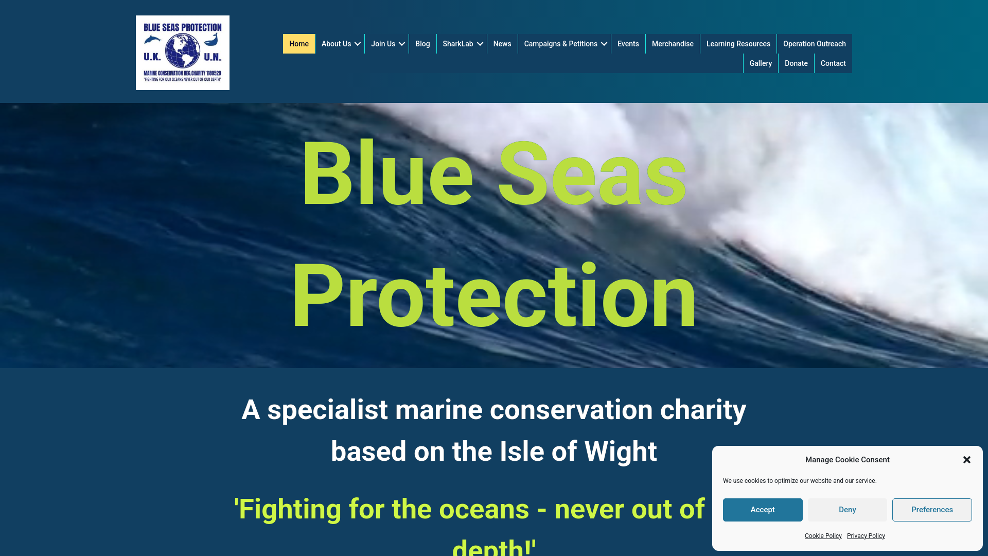 Website screenshot