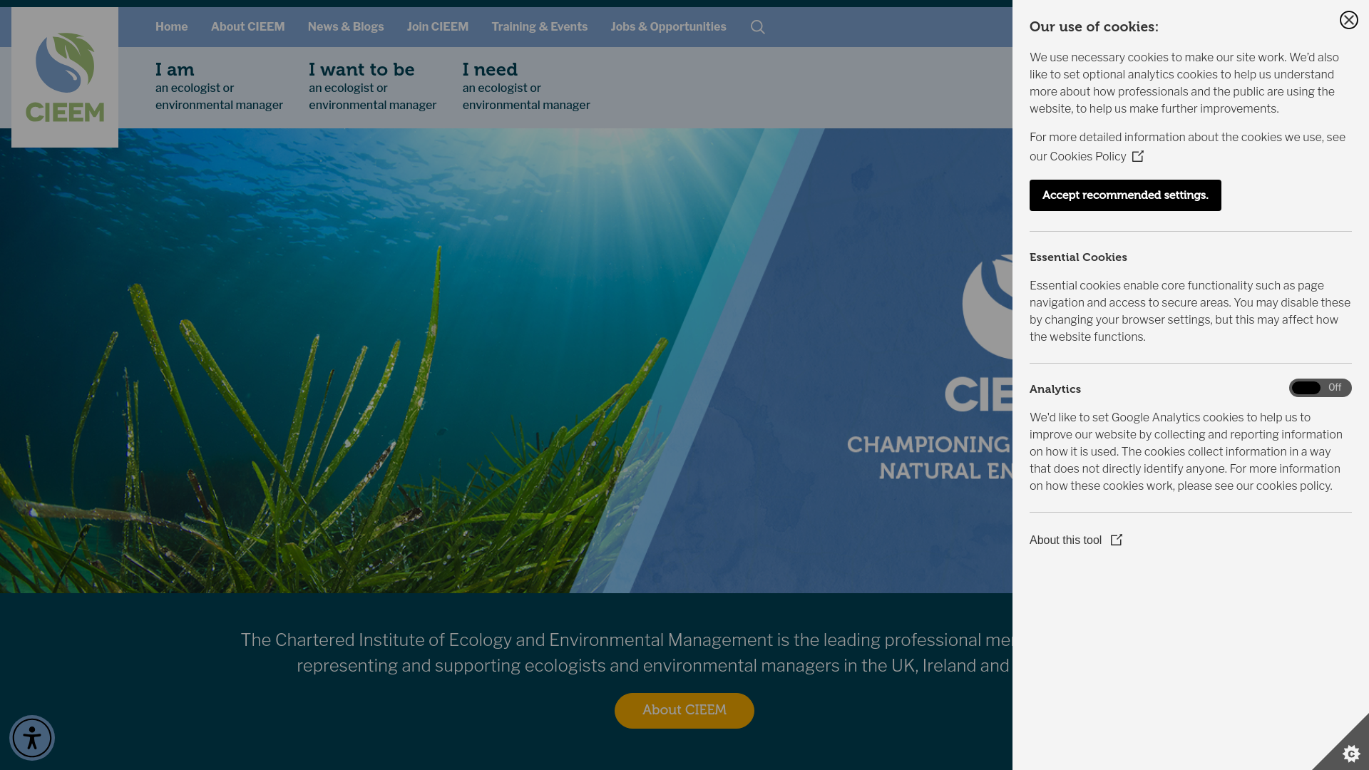 Website screenshot