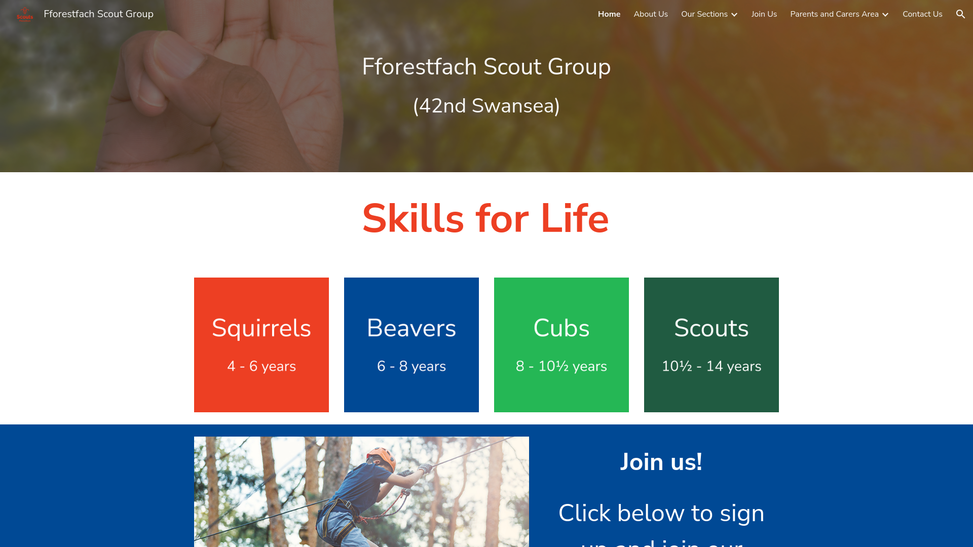 Website screenshot