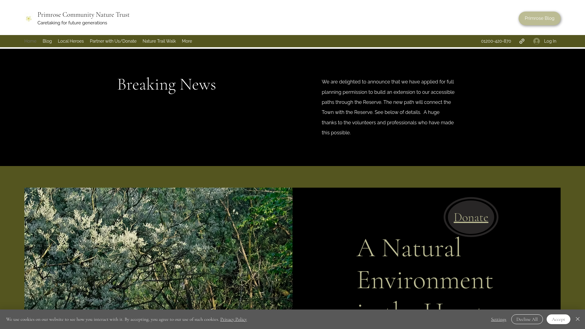 Website screenshot