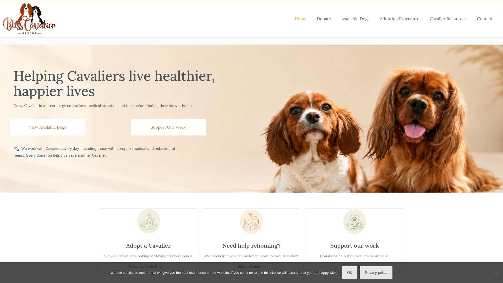 Website screenshot