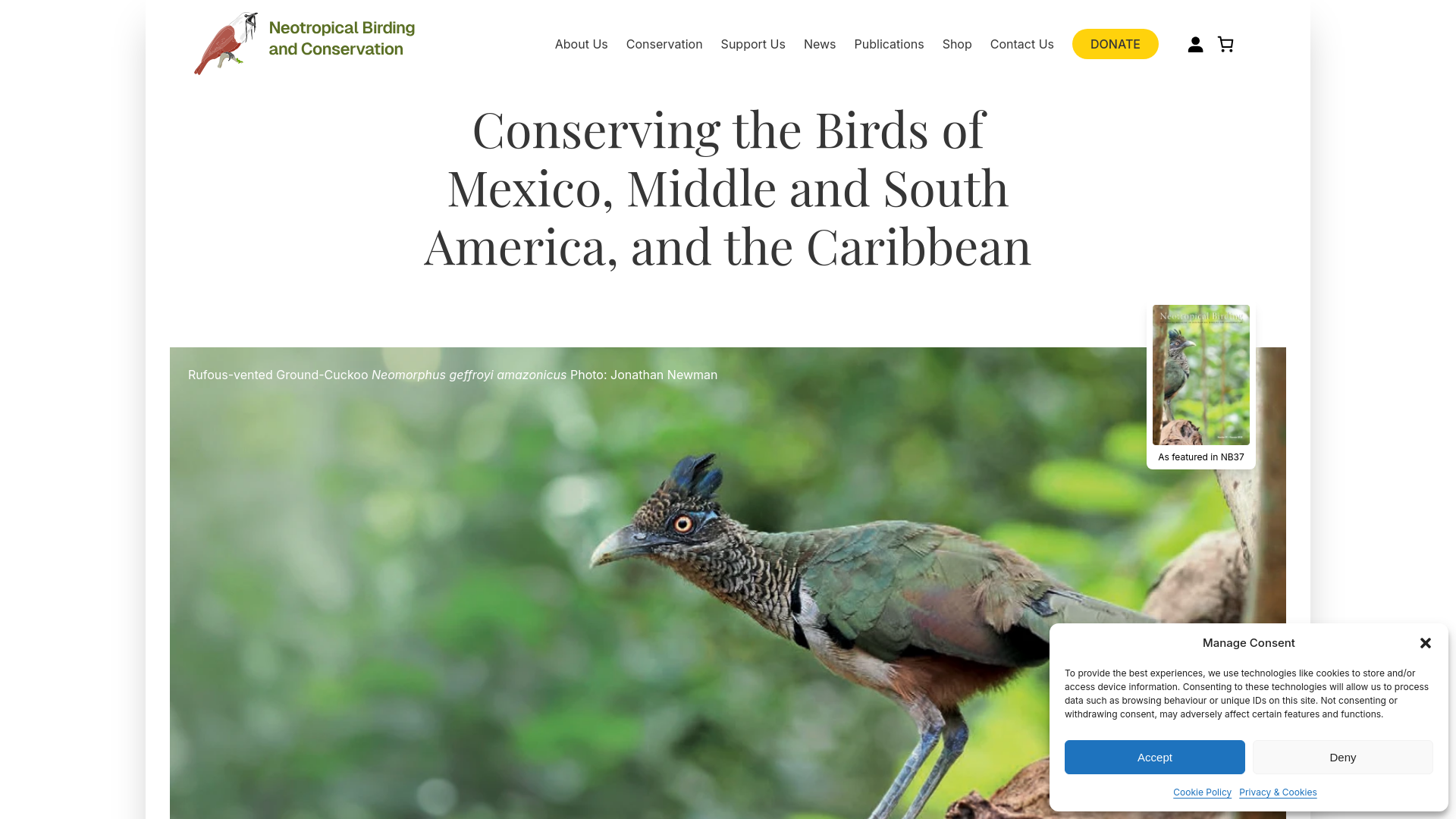 Website screenshot