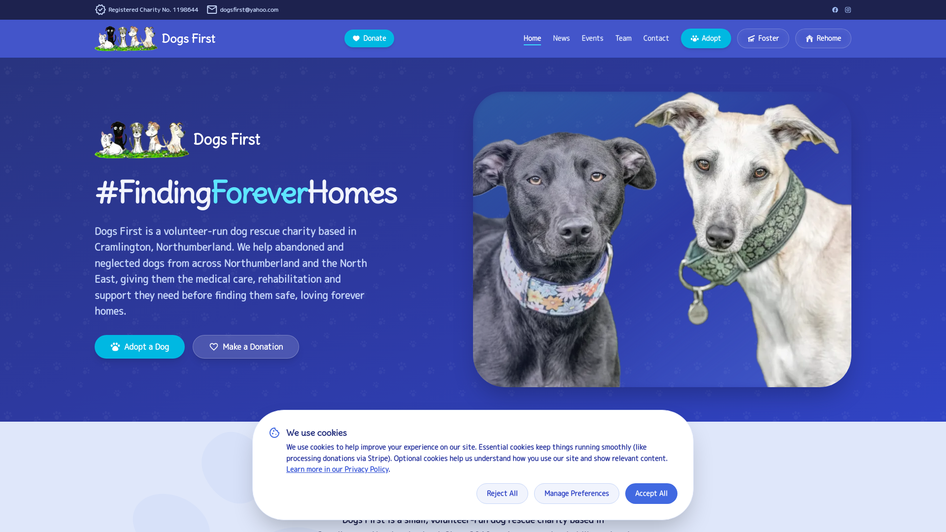 Website screenshot