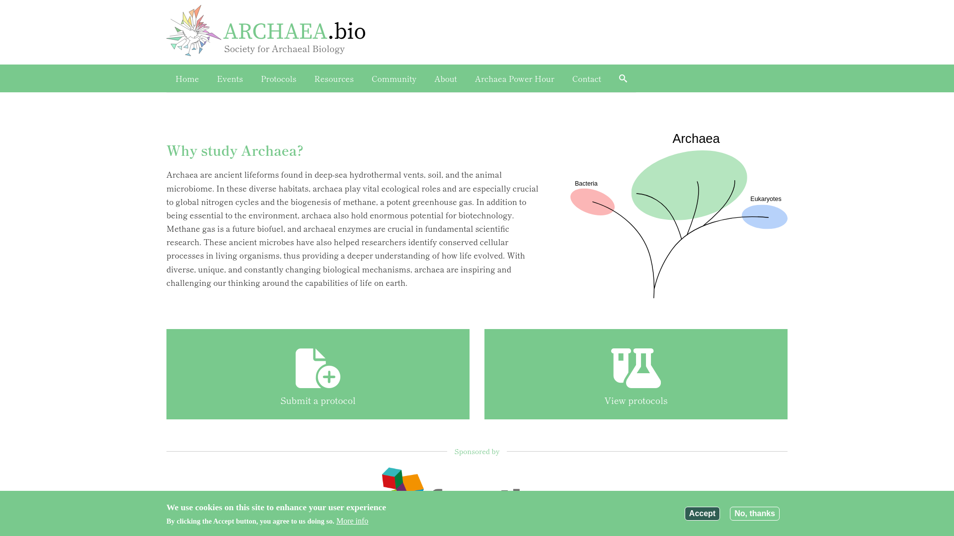 Website screenshot