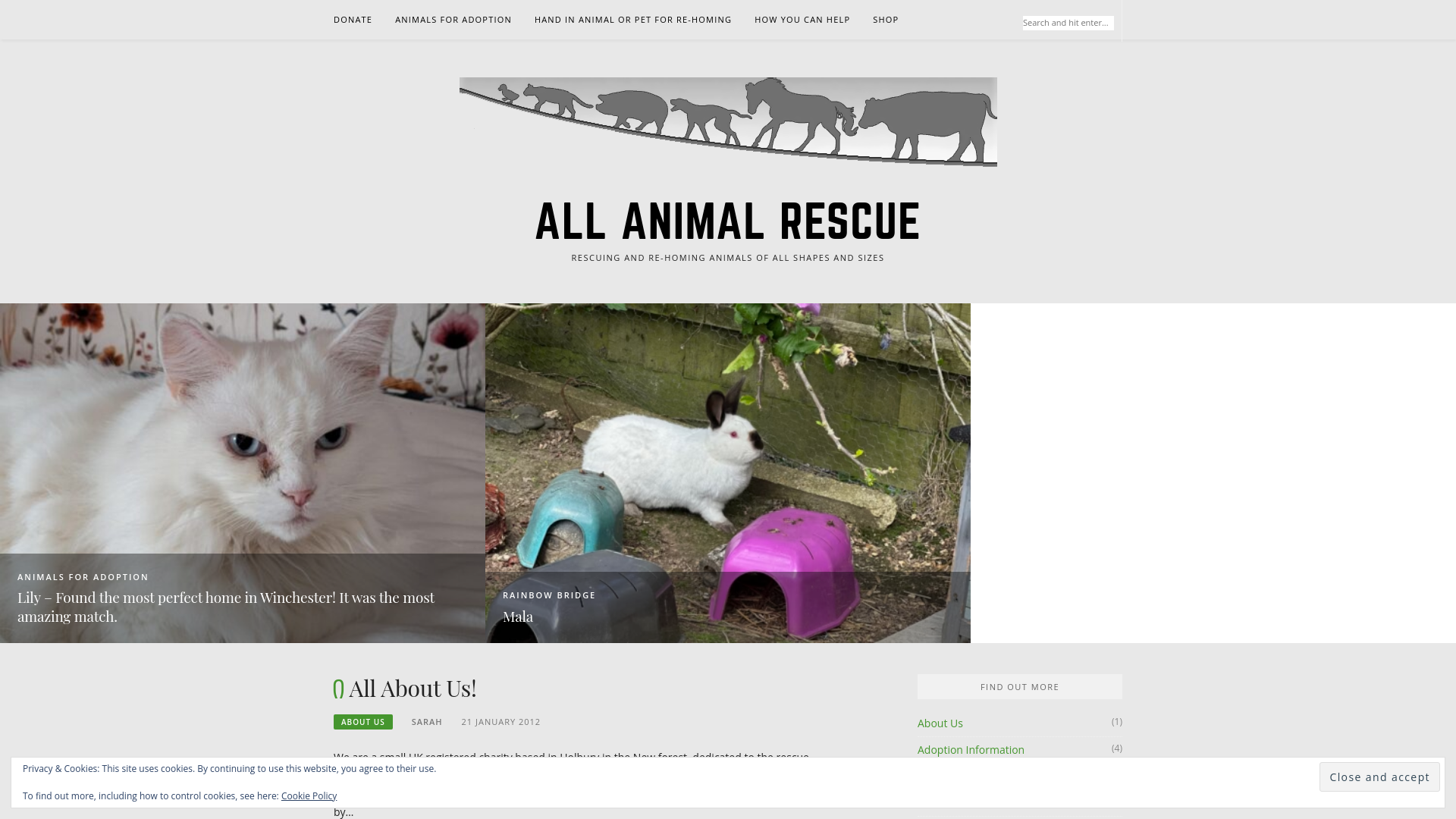 Website screenshot