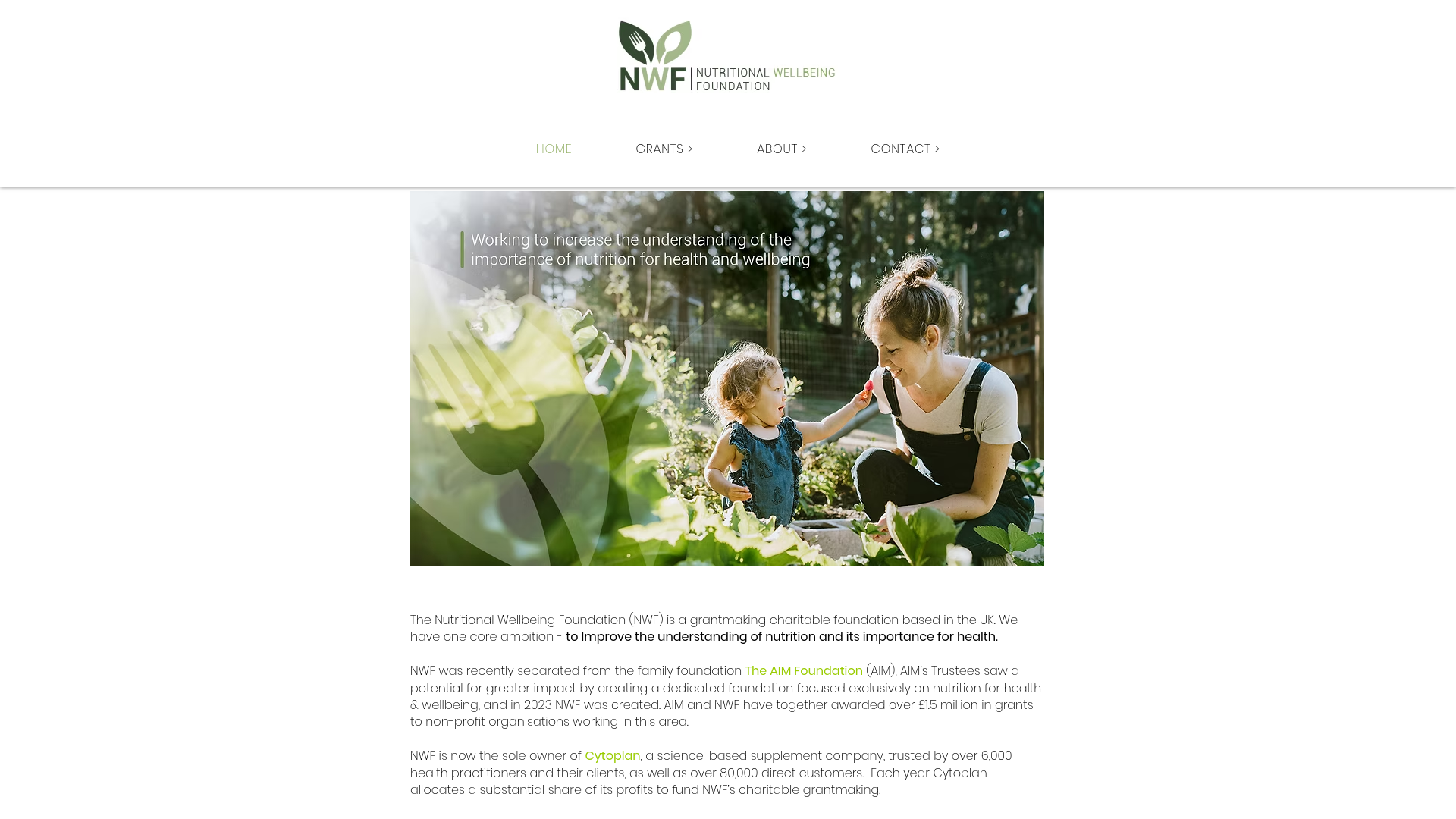 Website screenshot