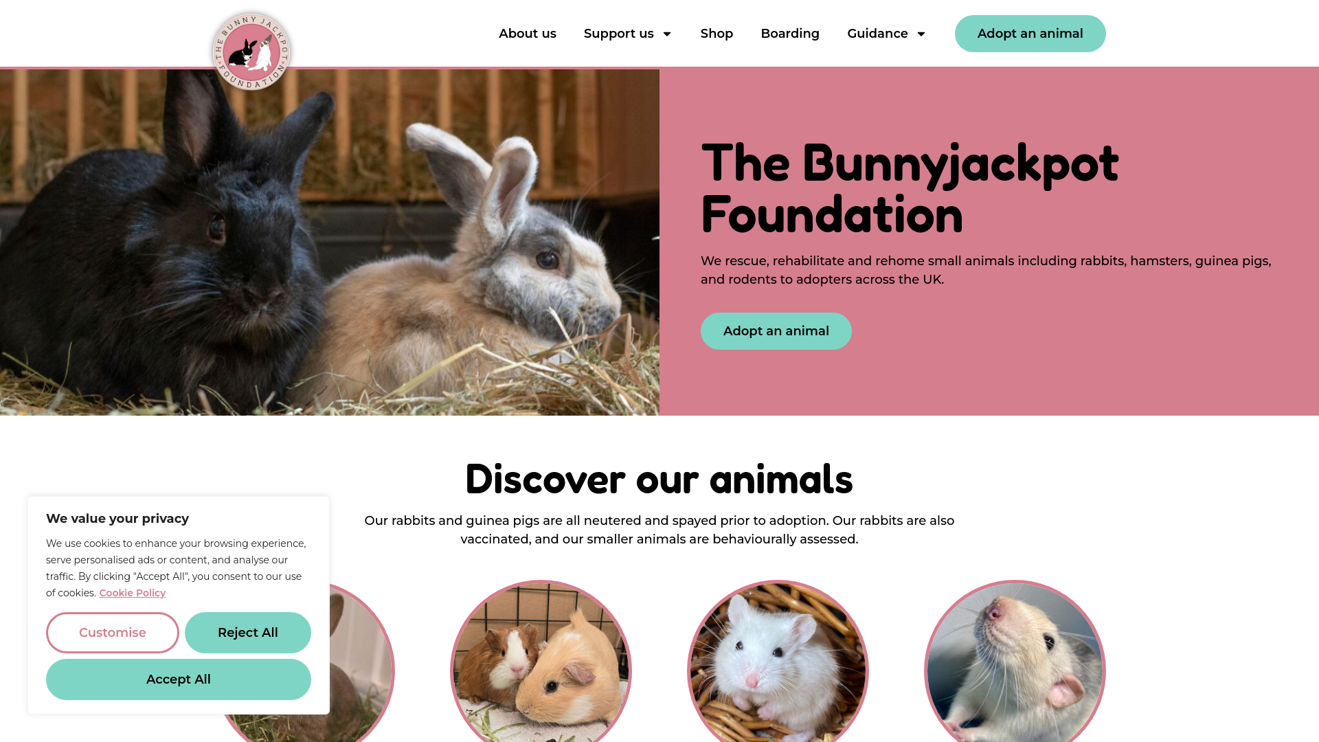 Website screenshot