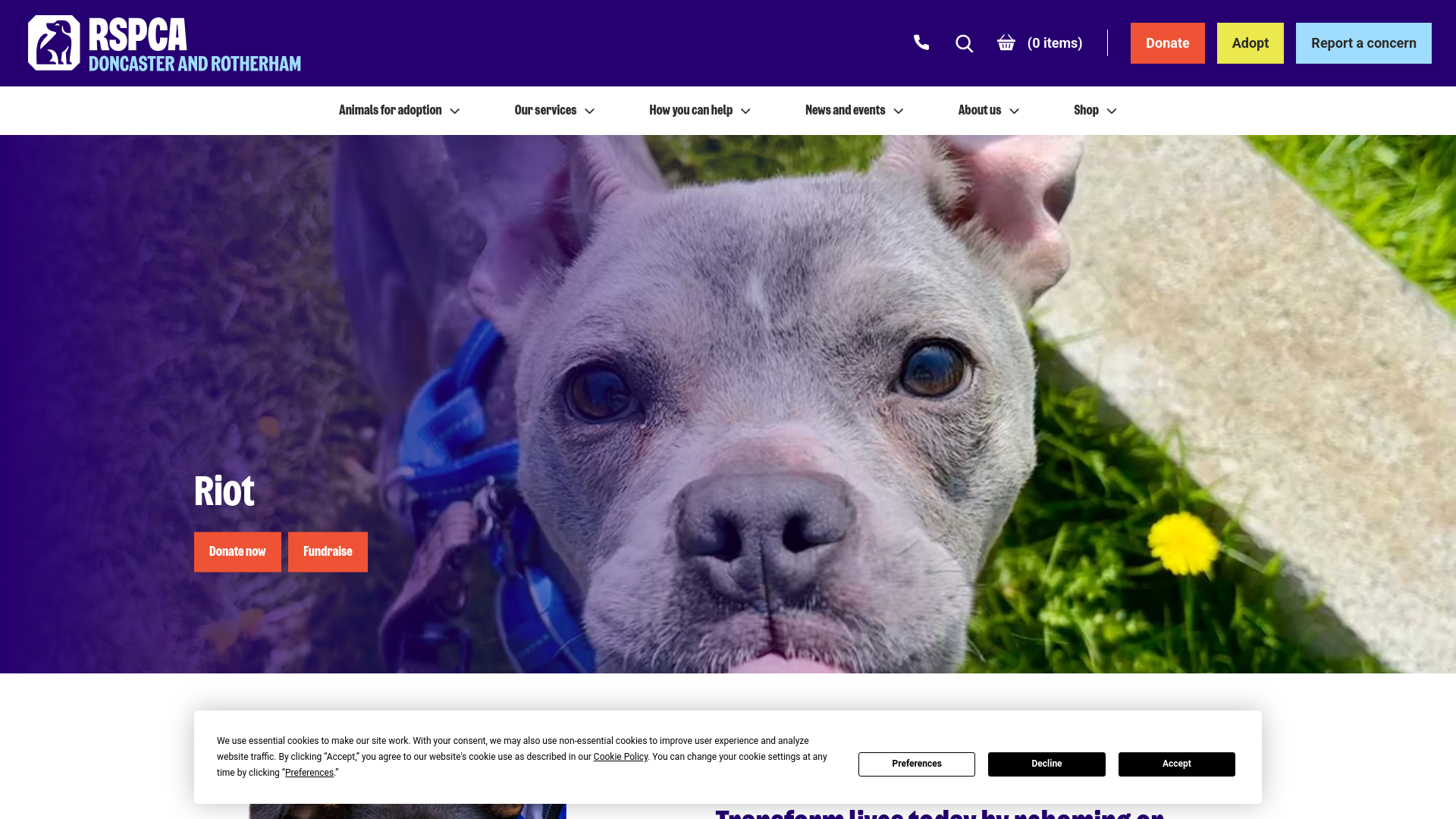 Website screenshot
