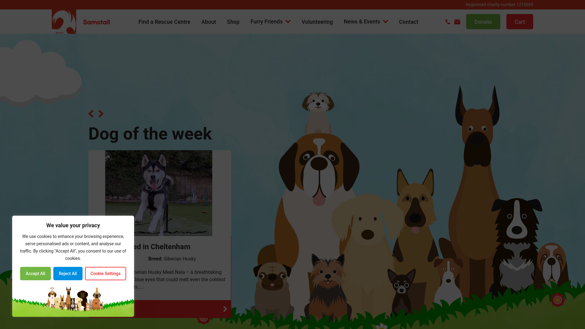 Website screenshot