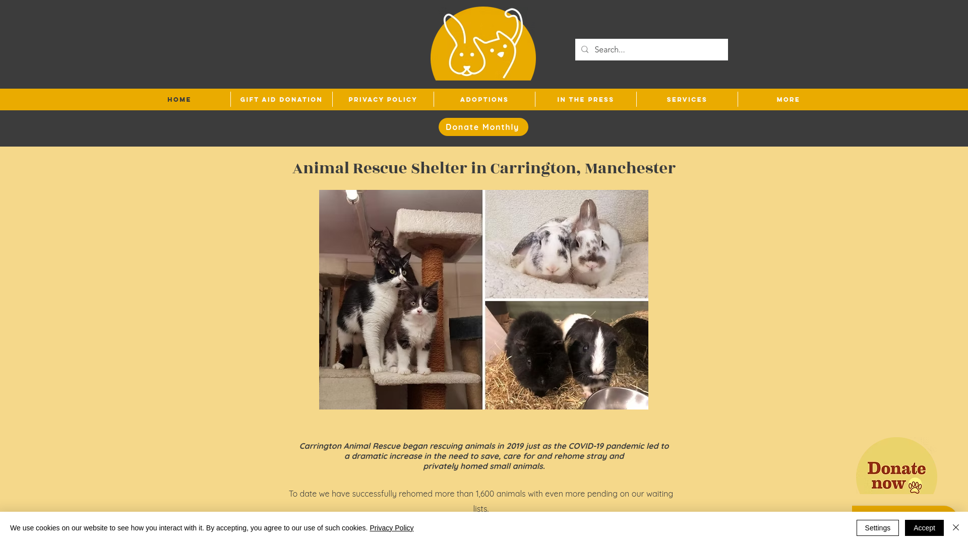 Website screenshot