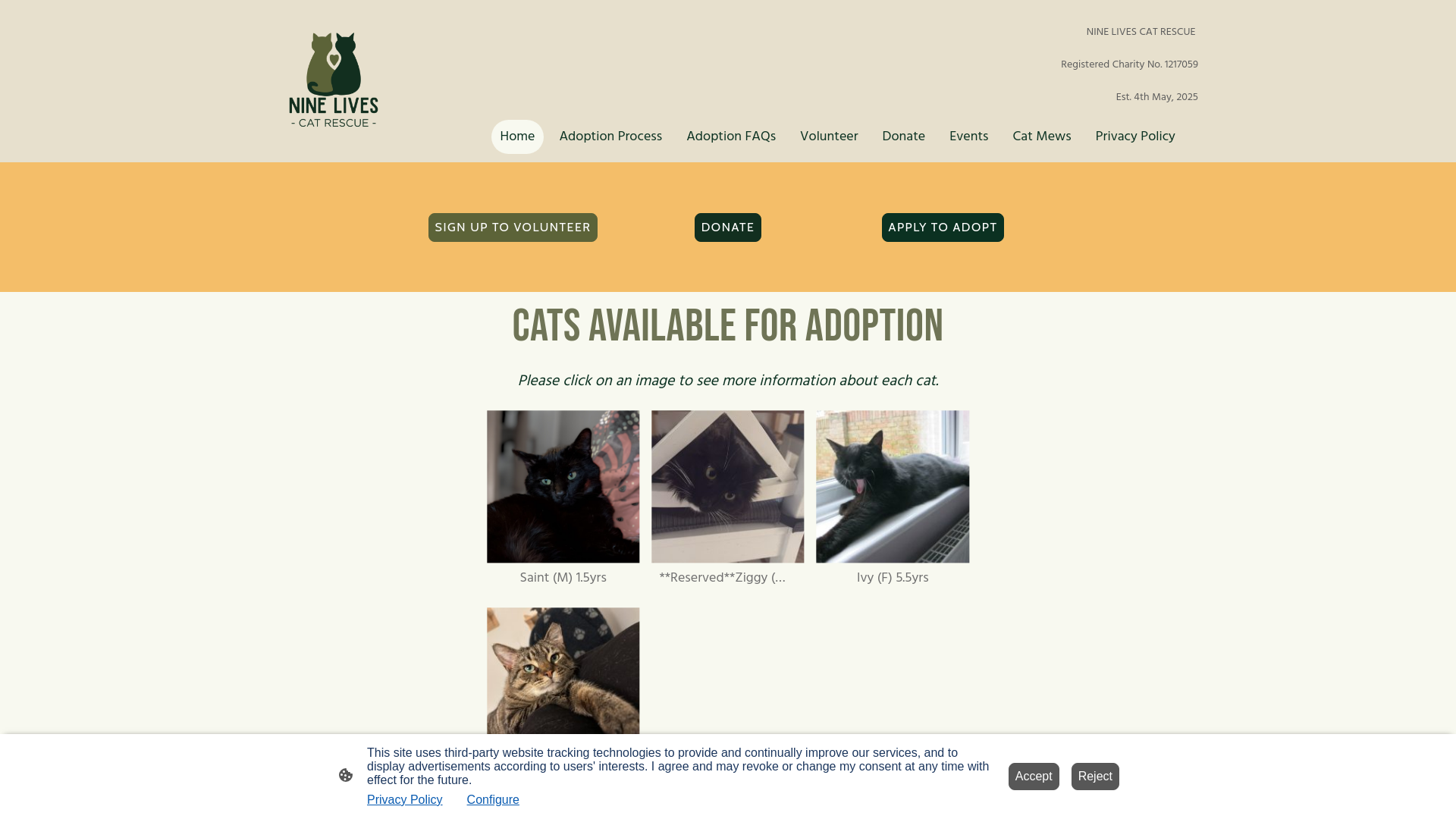 Website screenshot