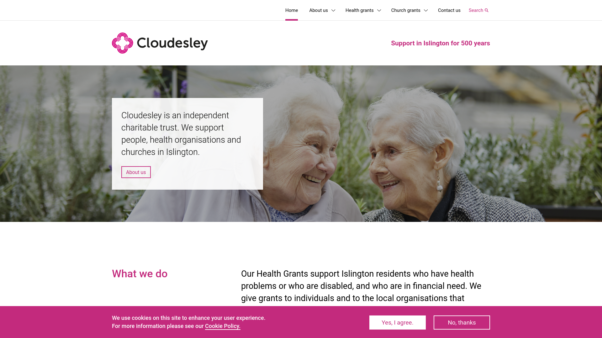 Website screenshot