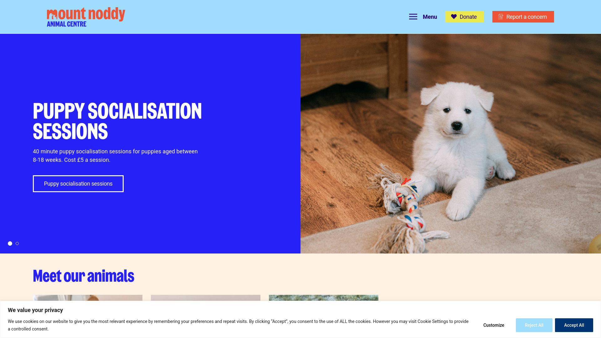 Website screenshot