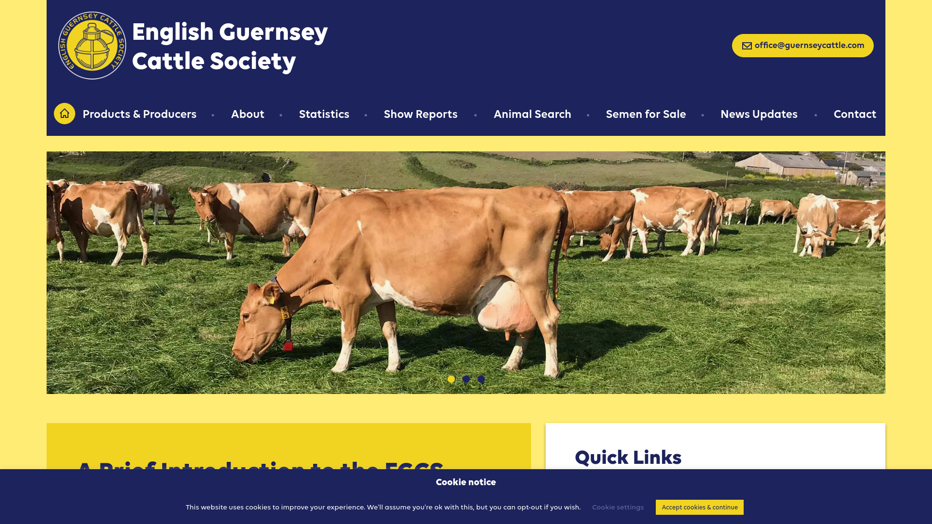 Website screenshot