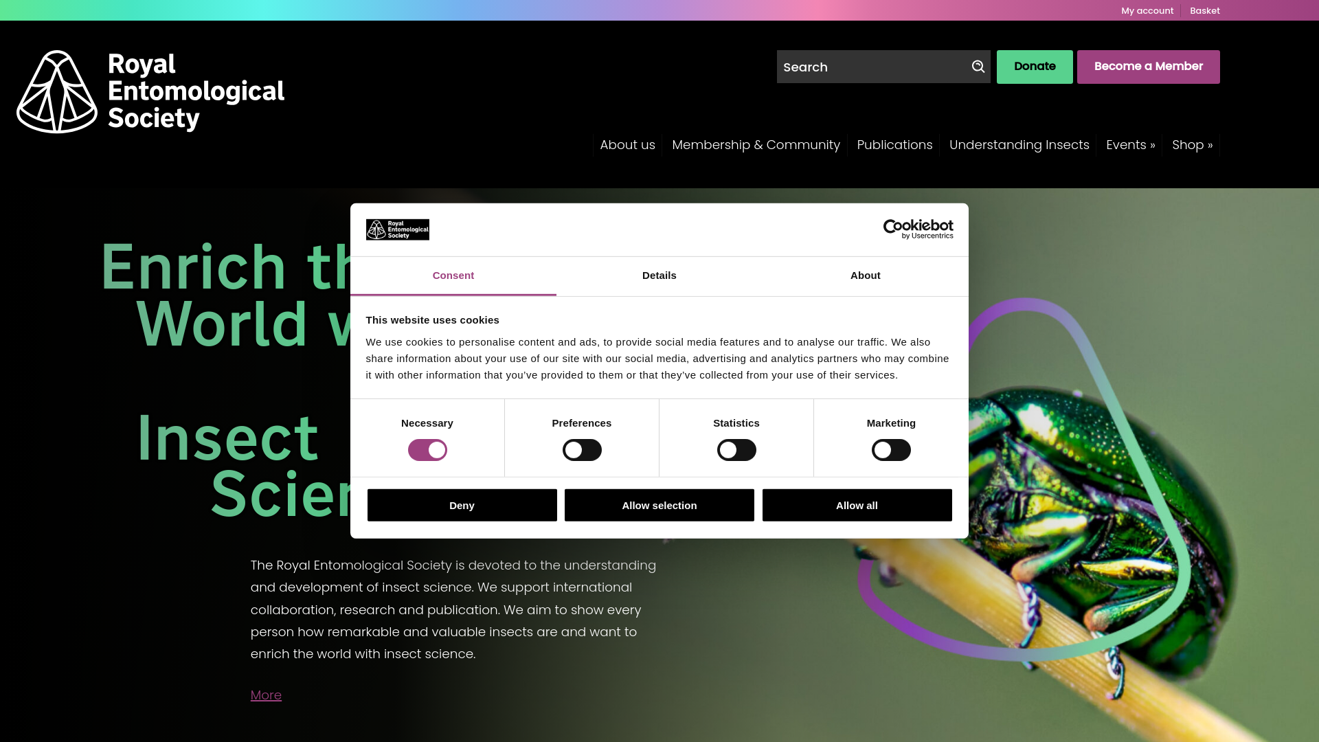 Website screenshot