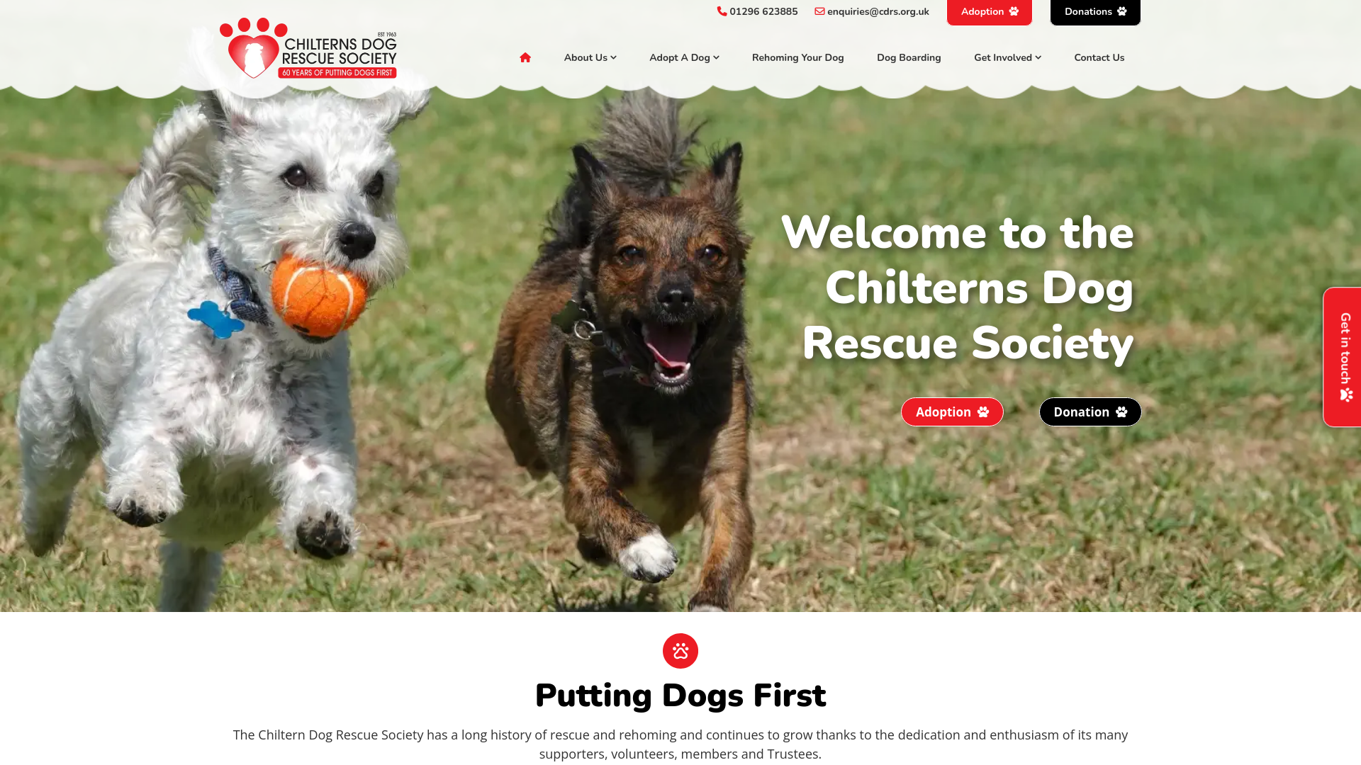Website screenshot