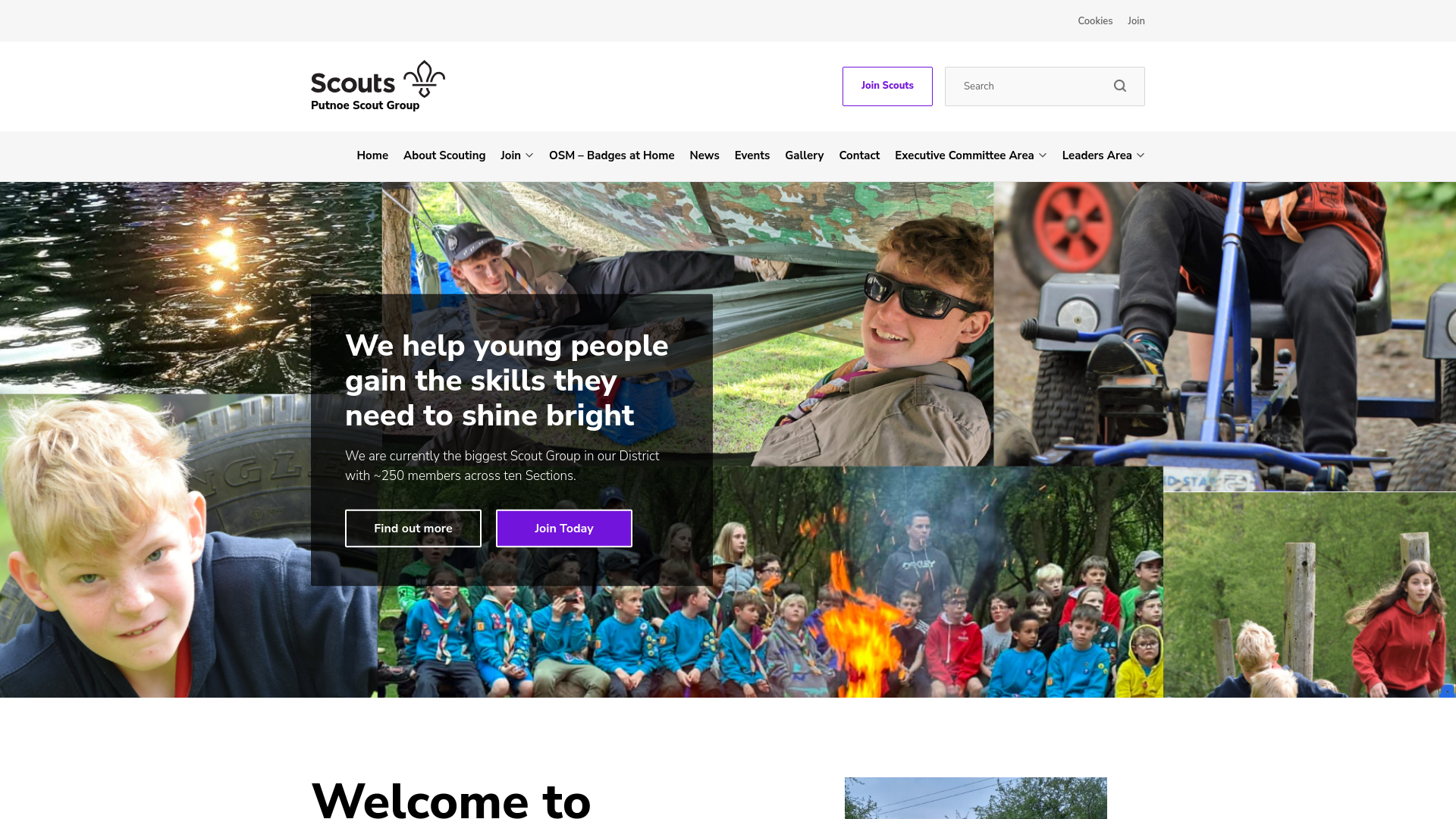 Website screenshot
