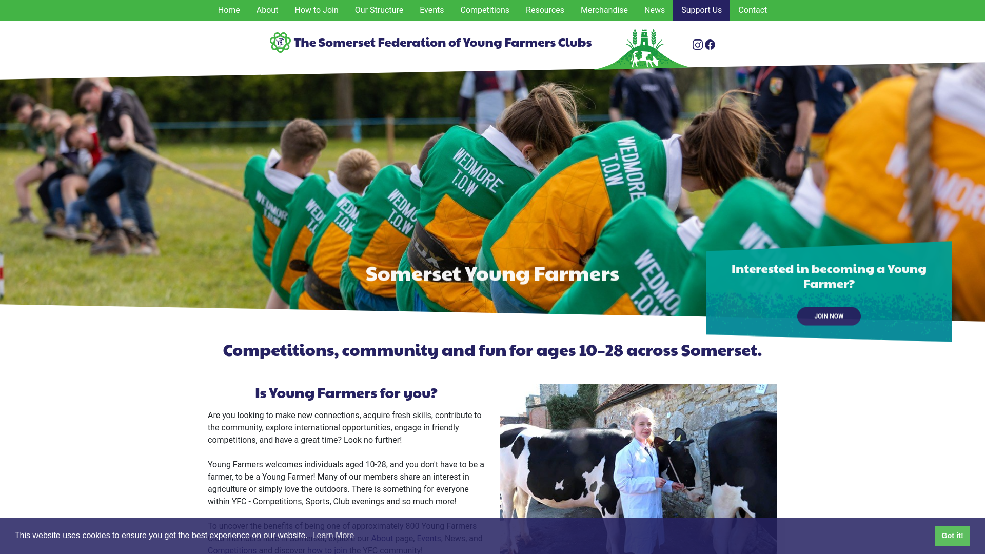 Website screenshot