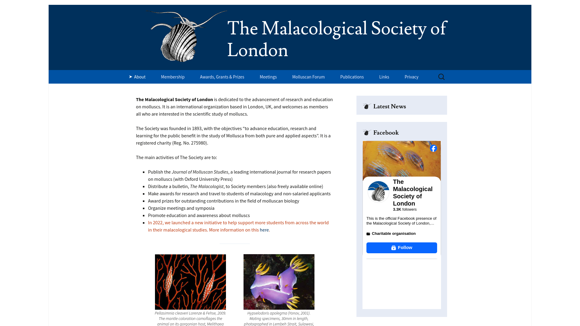 Website screenshot