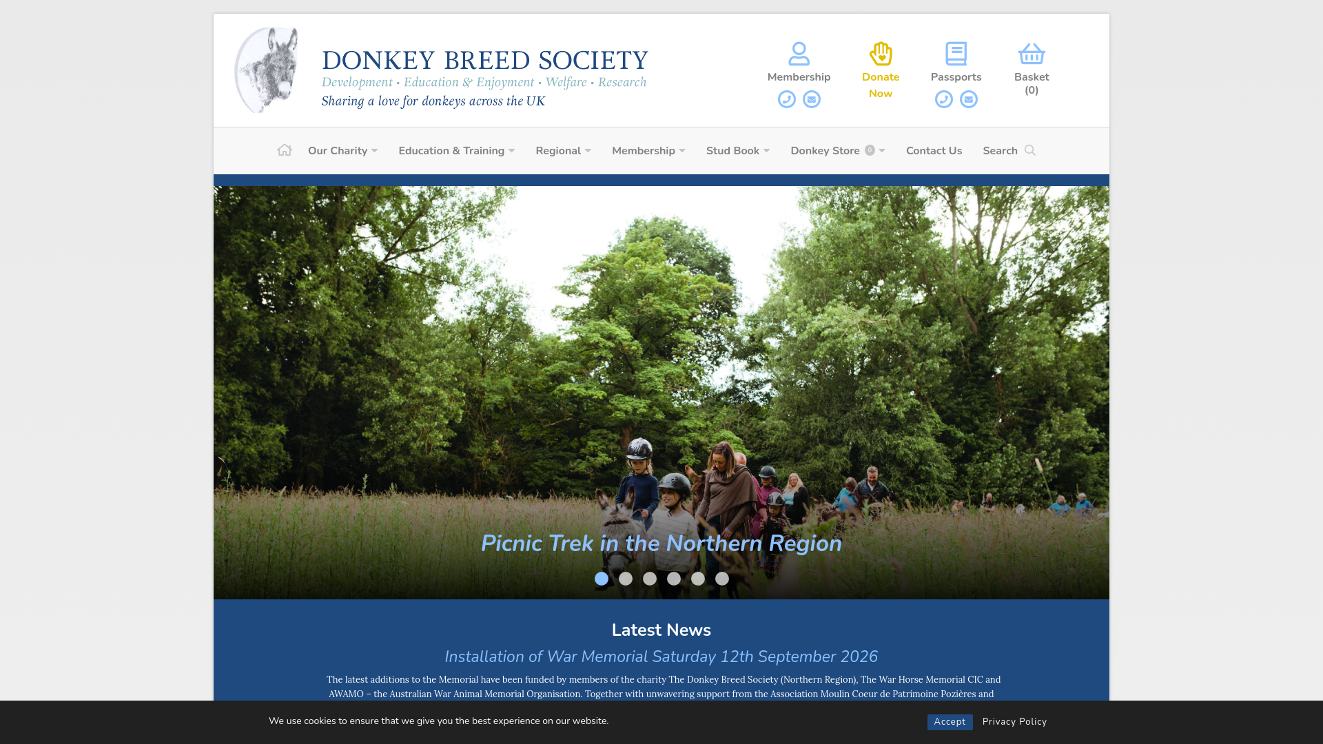 Website screenshot
