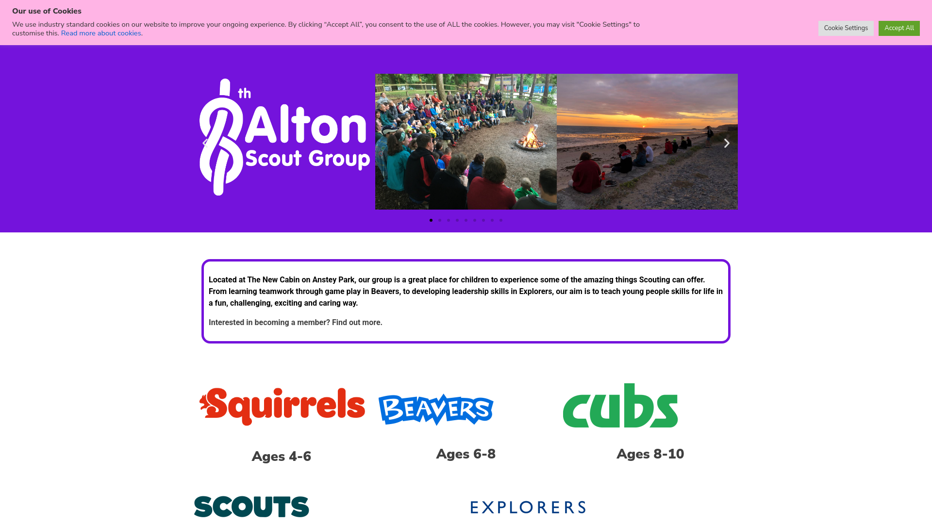 Website screenshot