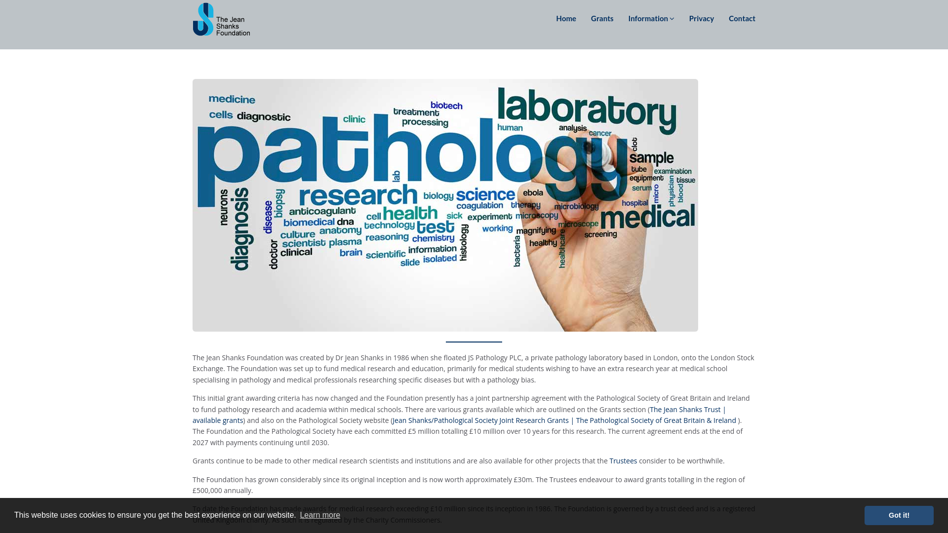 Website screenshot