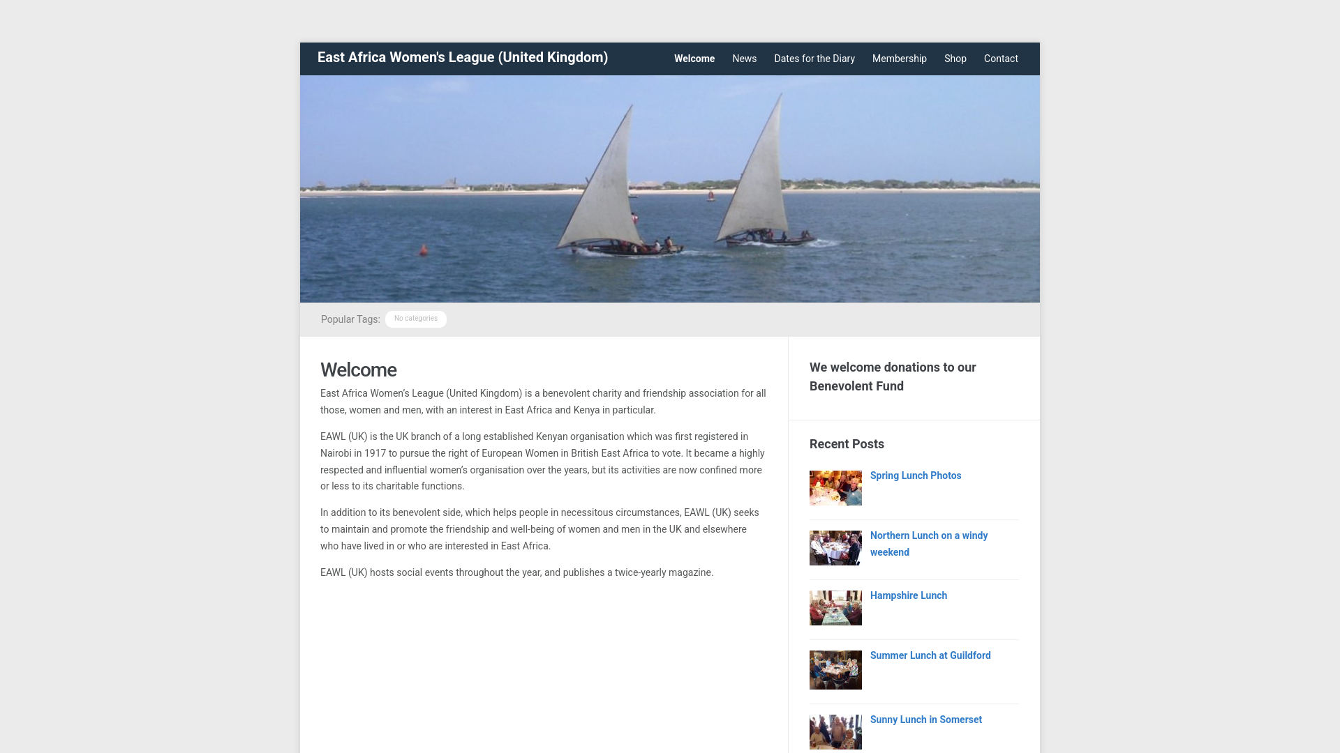 Website screenshot