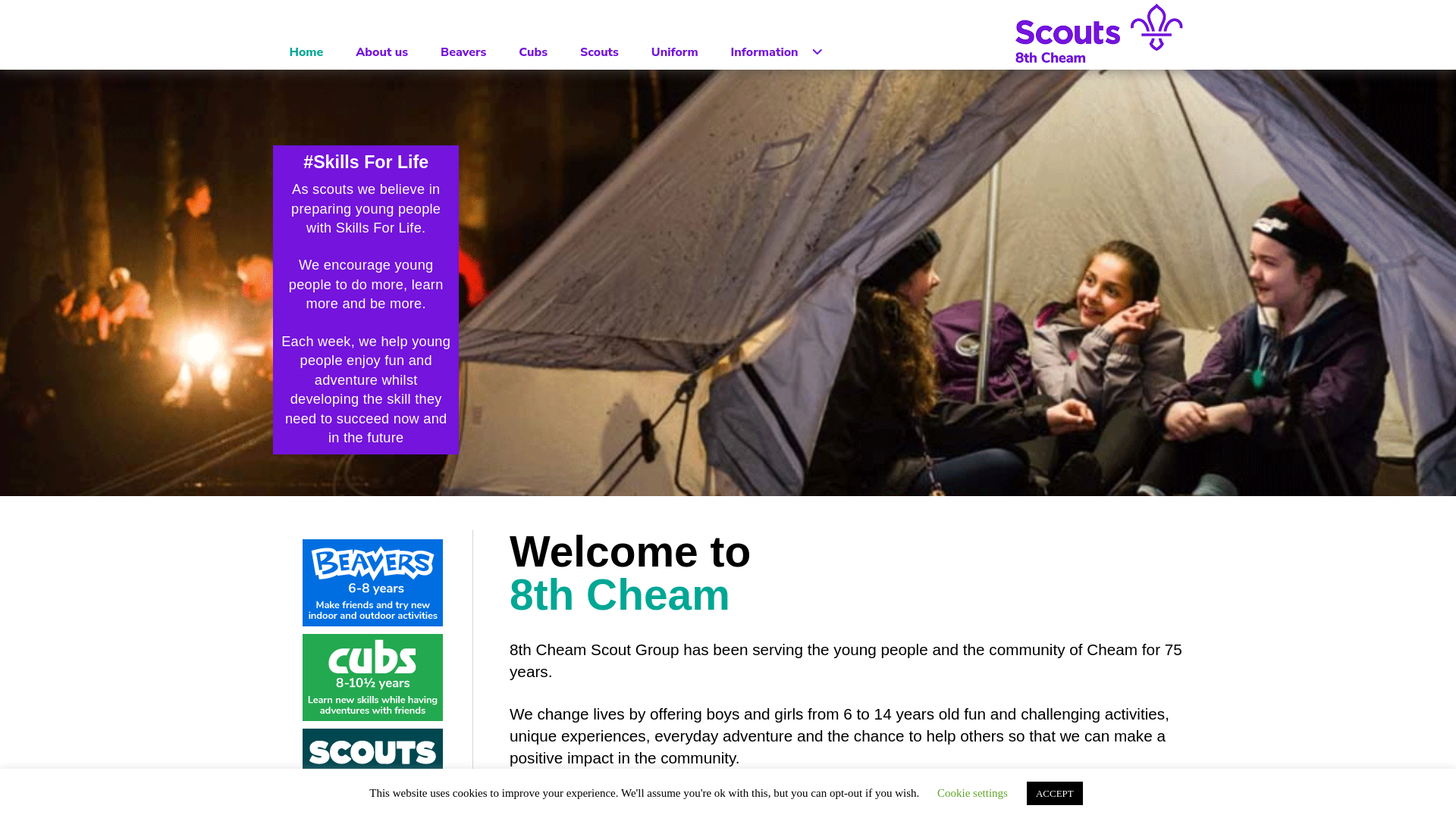 Website screenshot