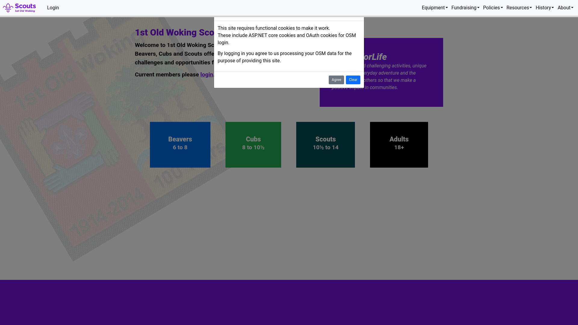 Website screenshot