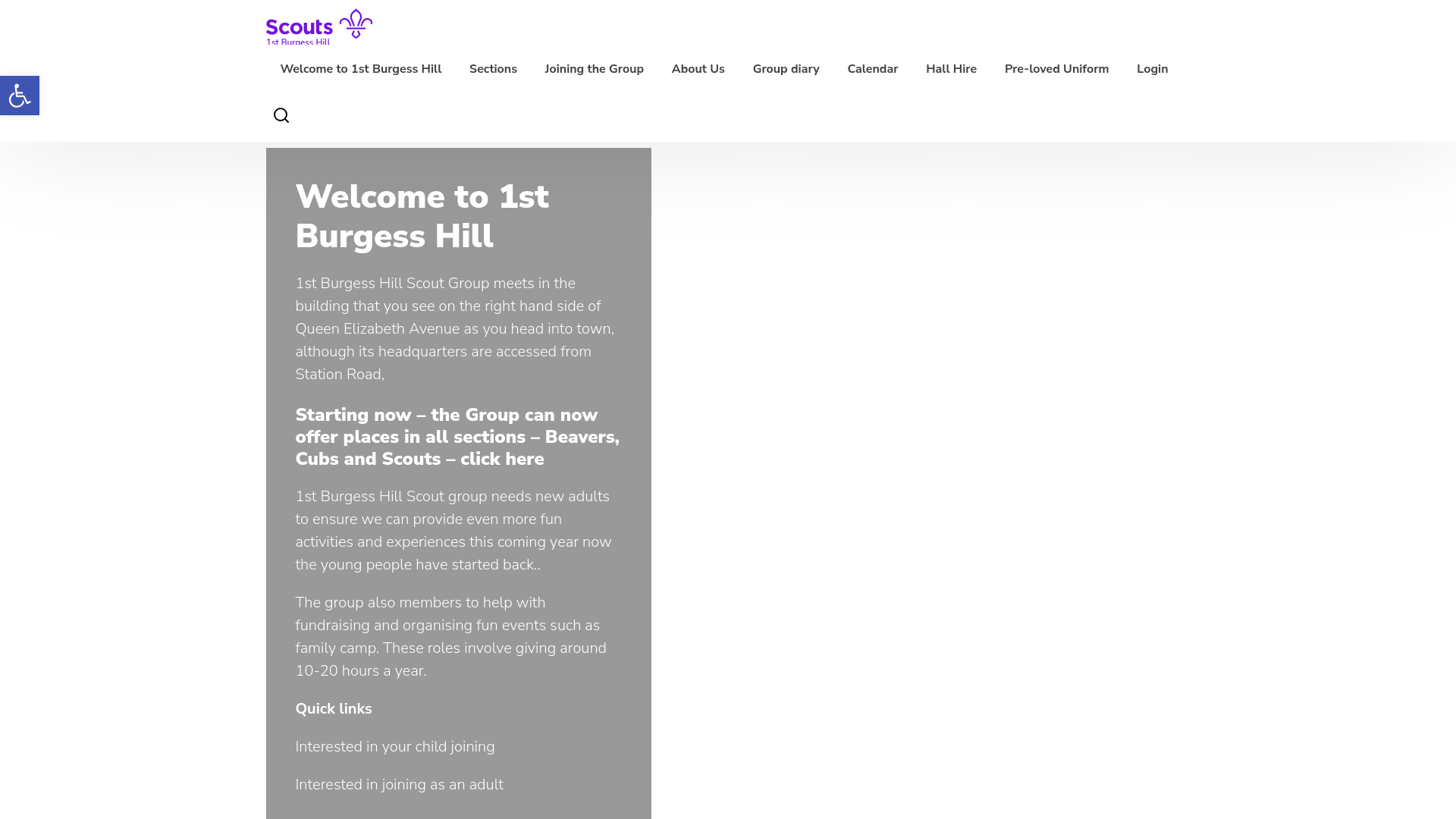 Website screenshot