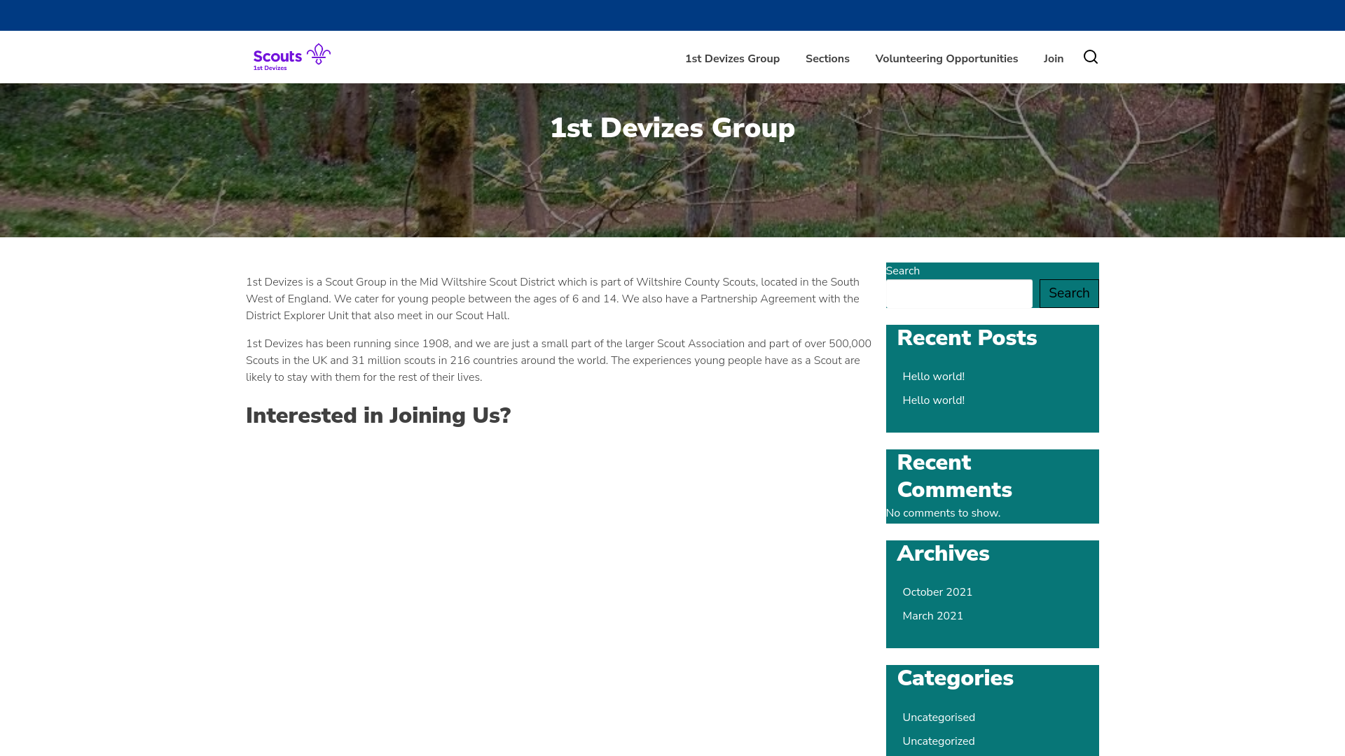 Website screenshot