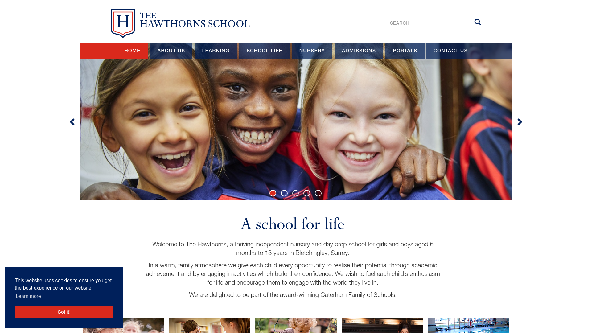 Website screenshot