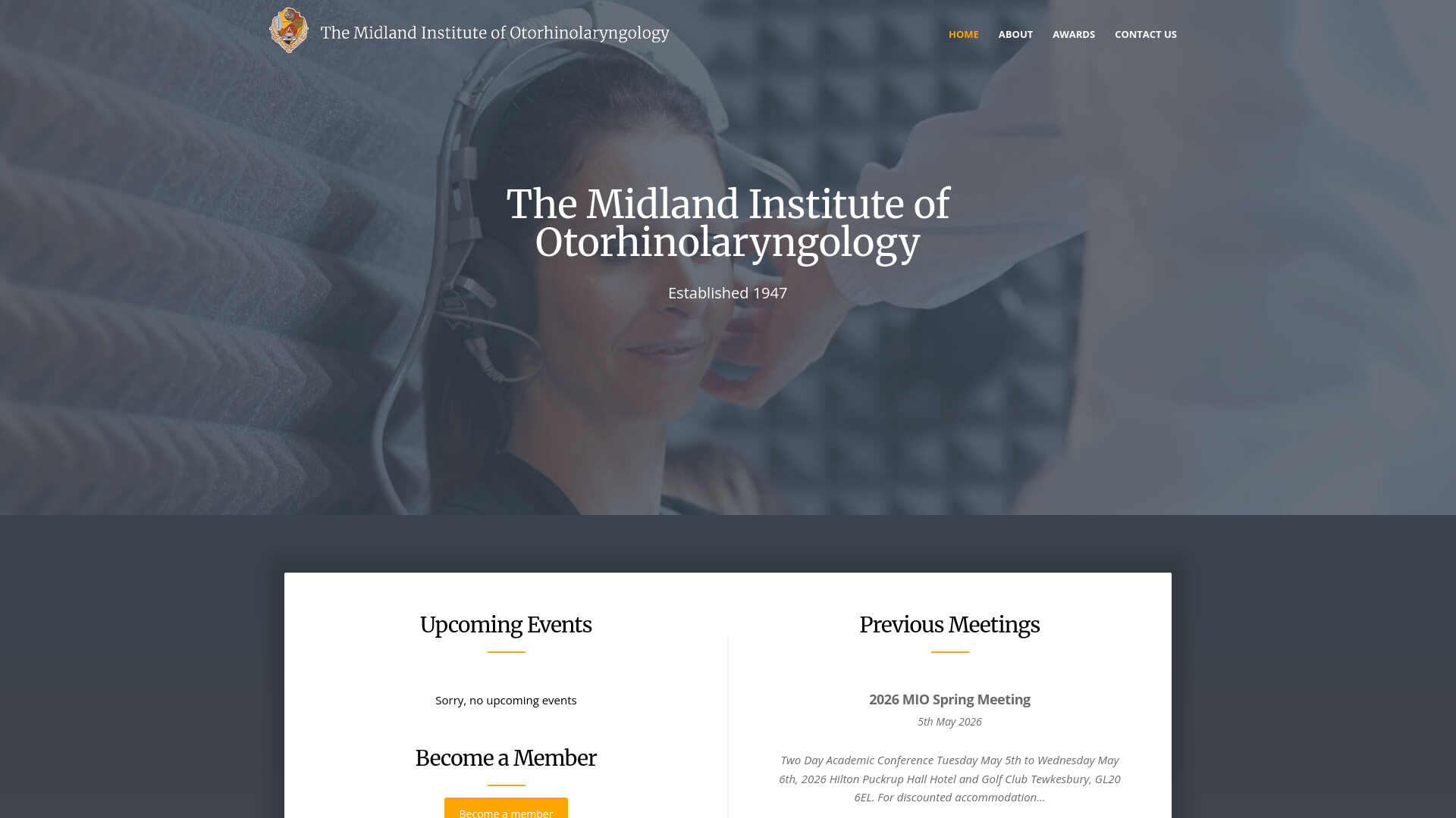 Website screenshot