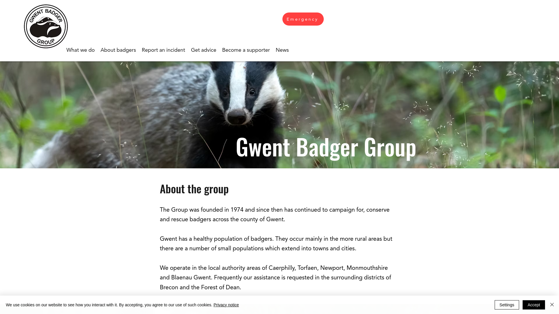 Website screenshot