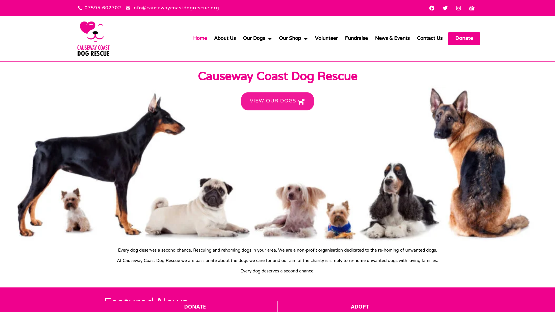 Website screenshot