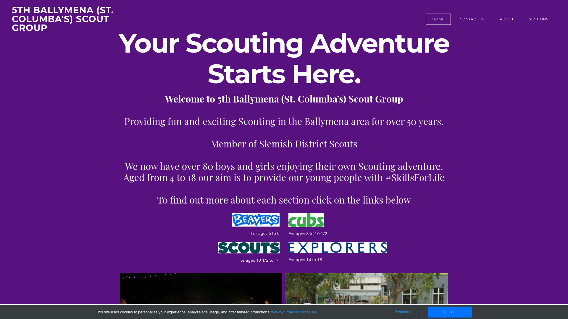 Website screenshot