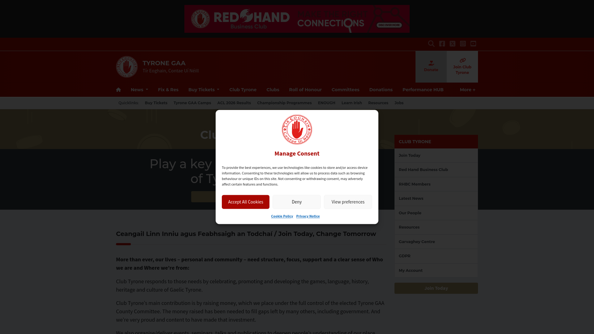 Website screenshot