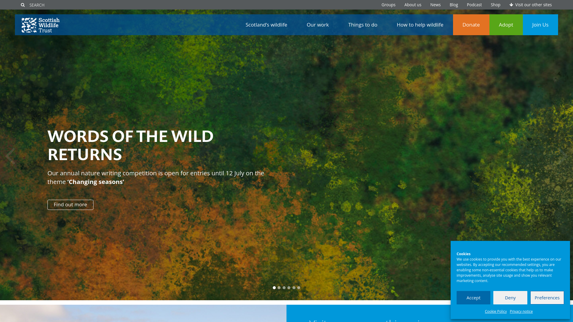 Website screenshot