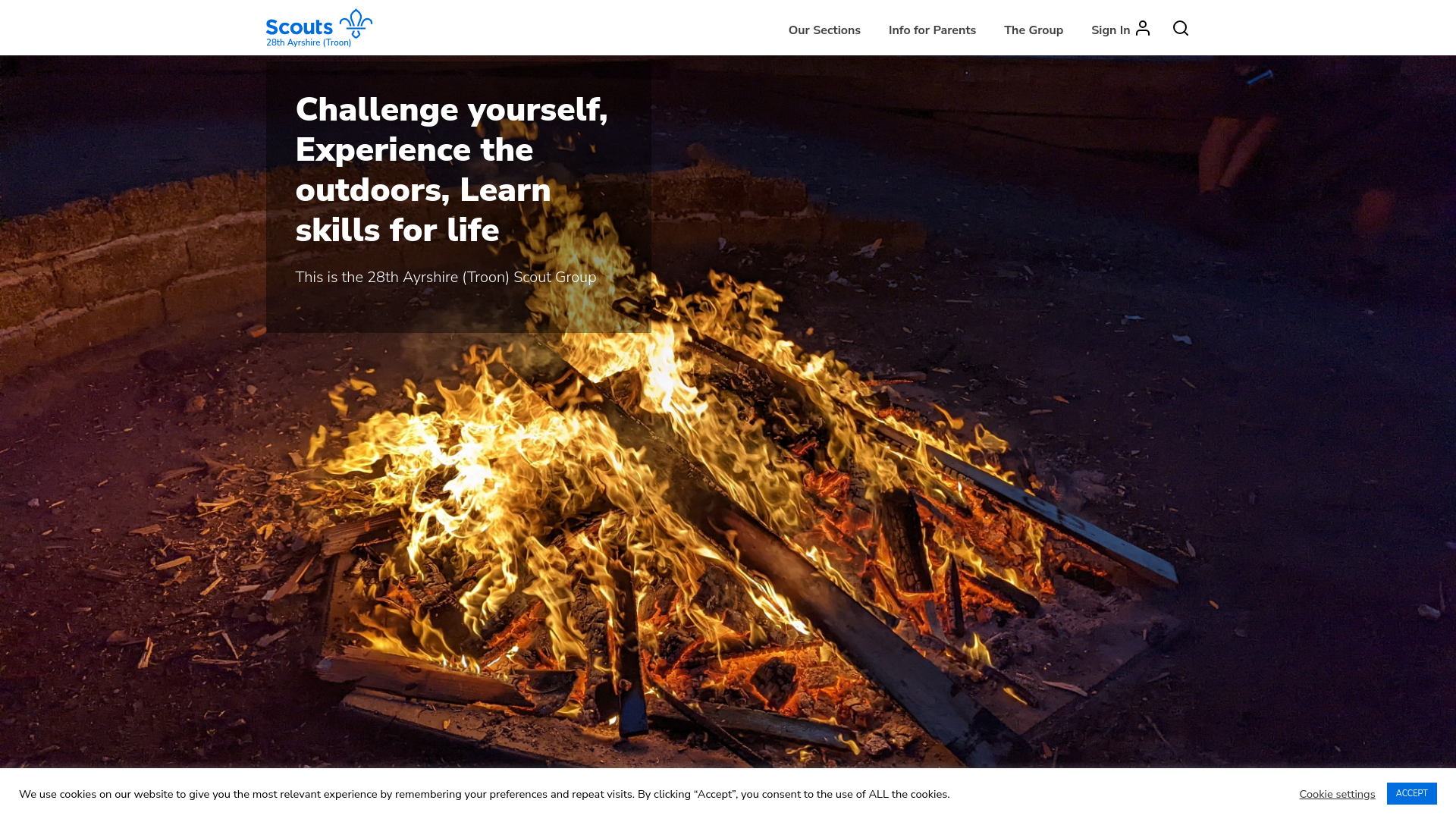 Website screenshot