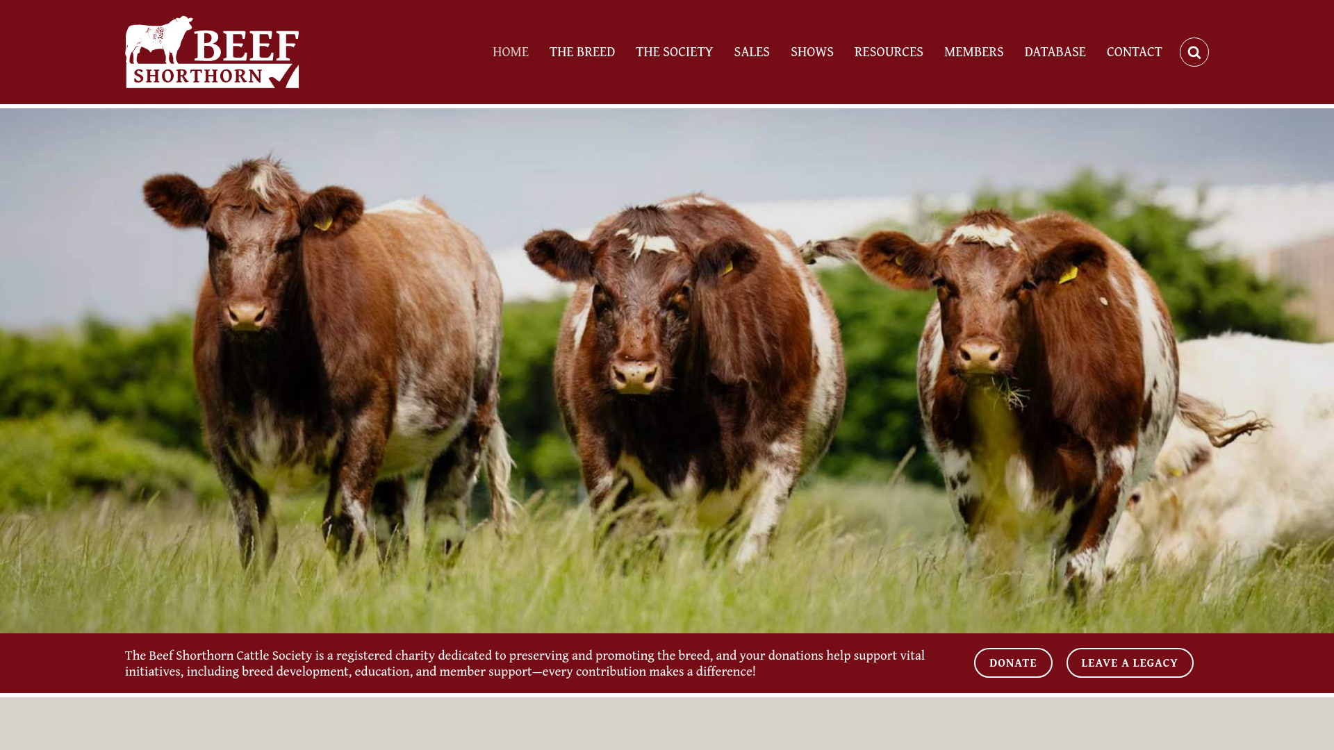 Website screenshot