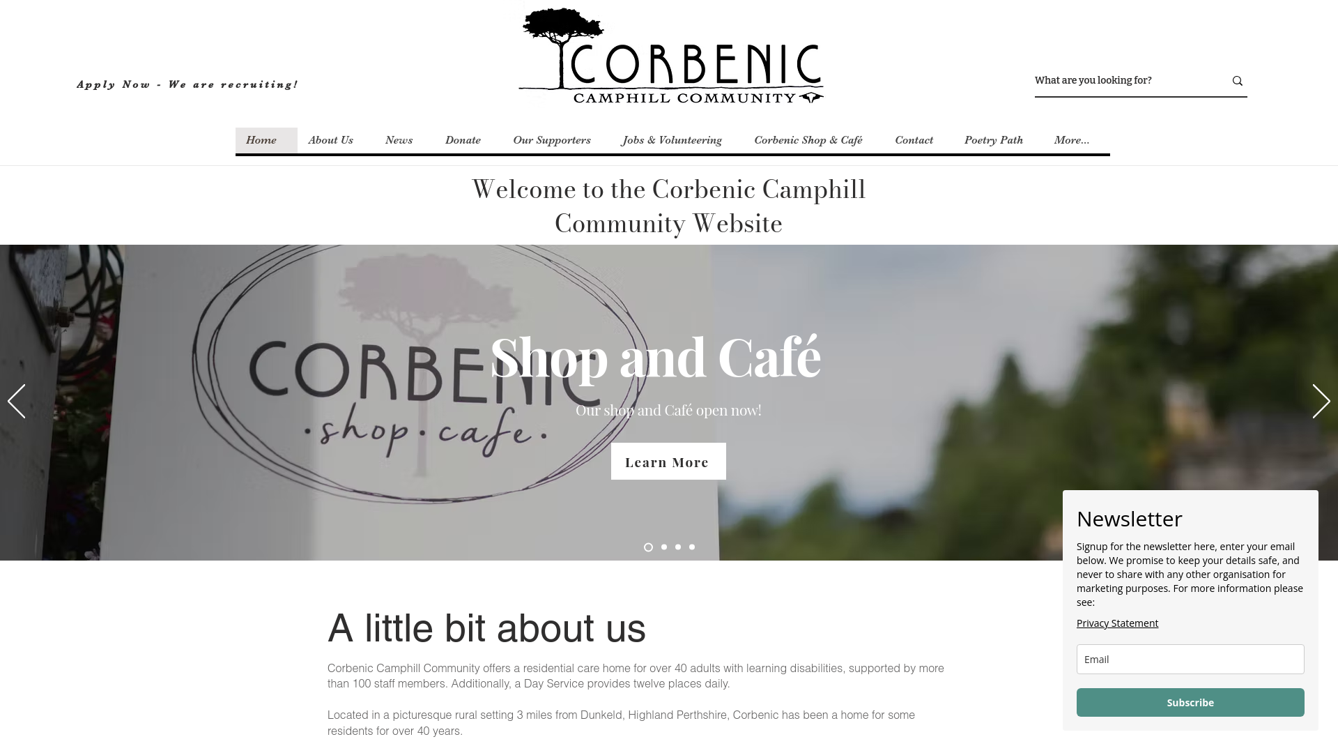 Website screenshot