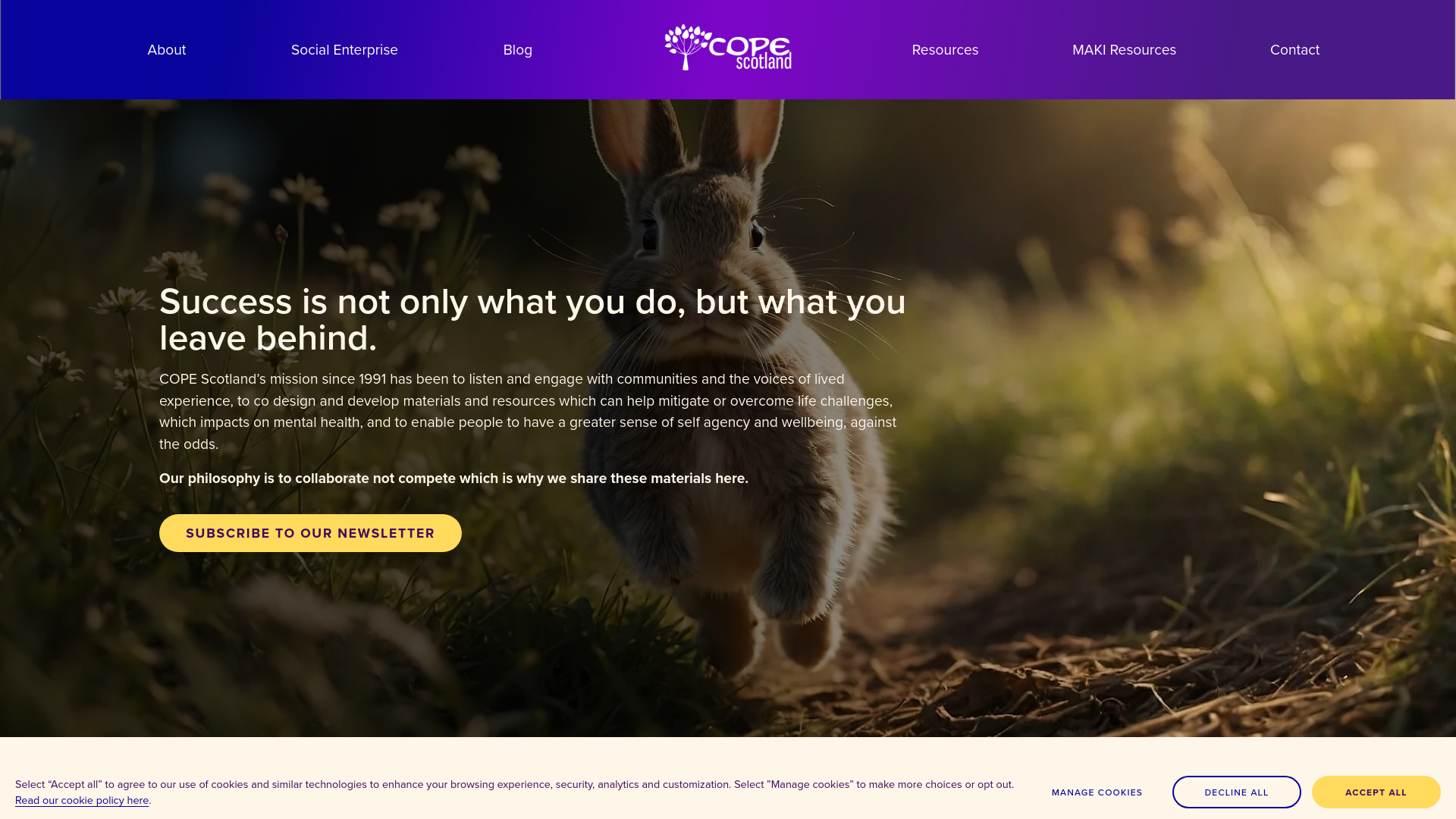 Website screenshot