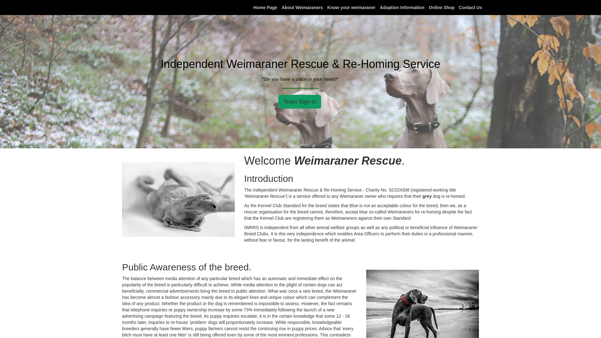 Website screenshot