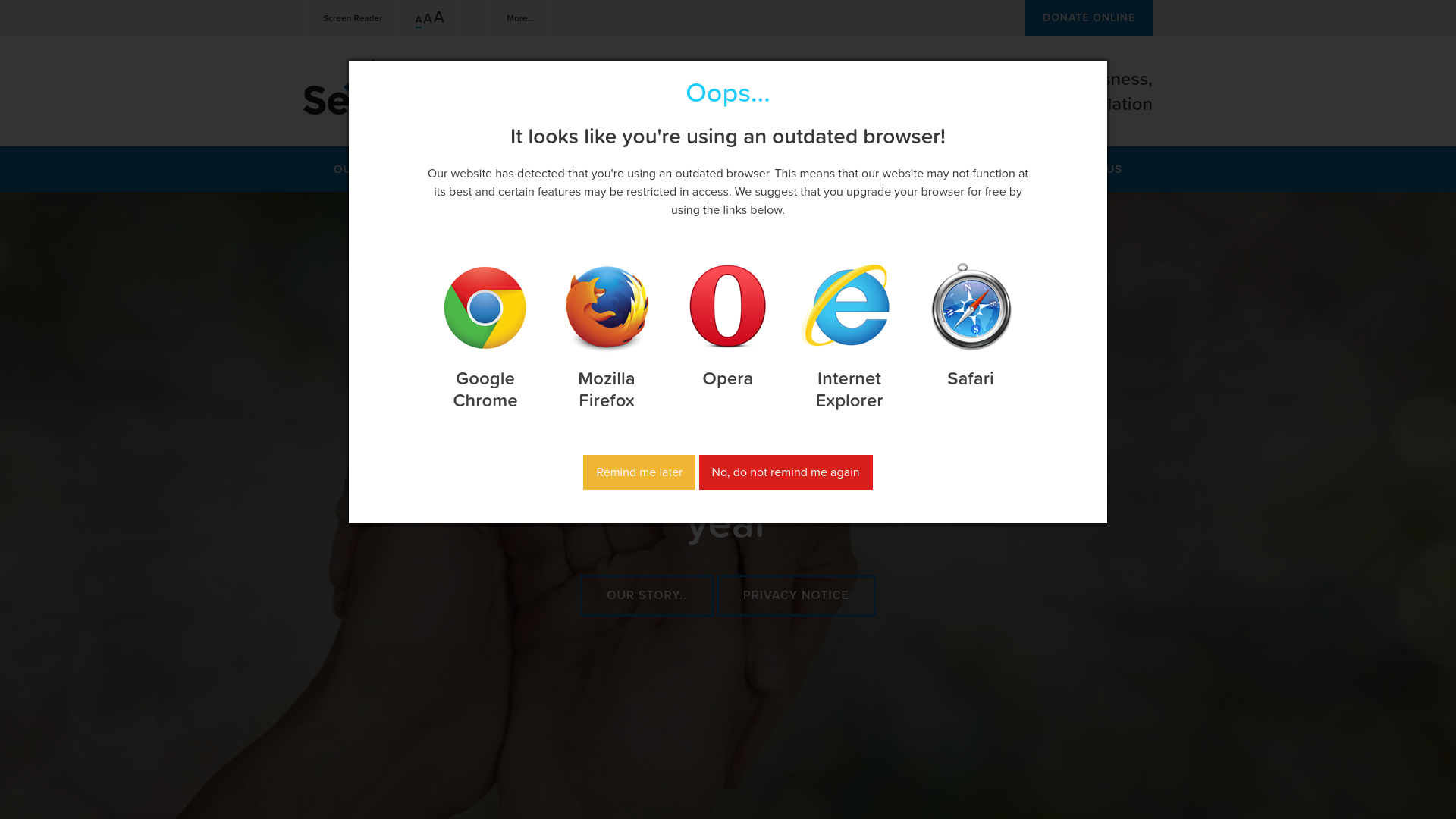 Website screenshot