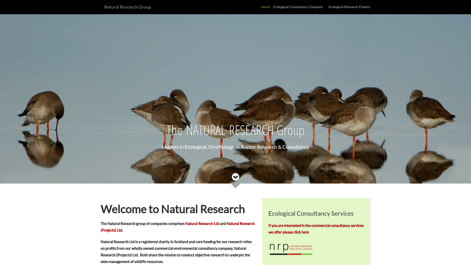 Website screenshot