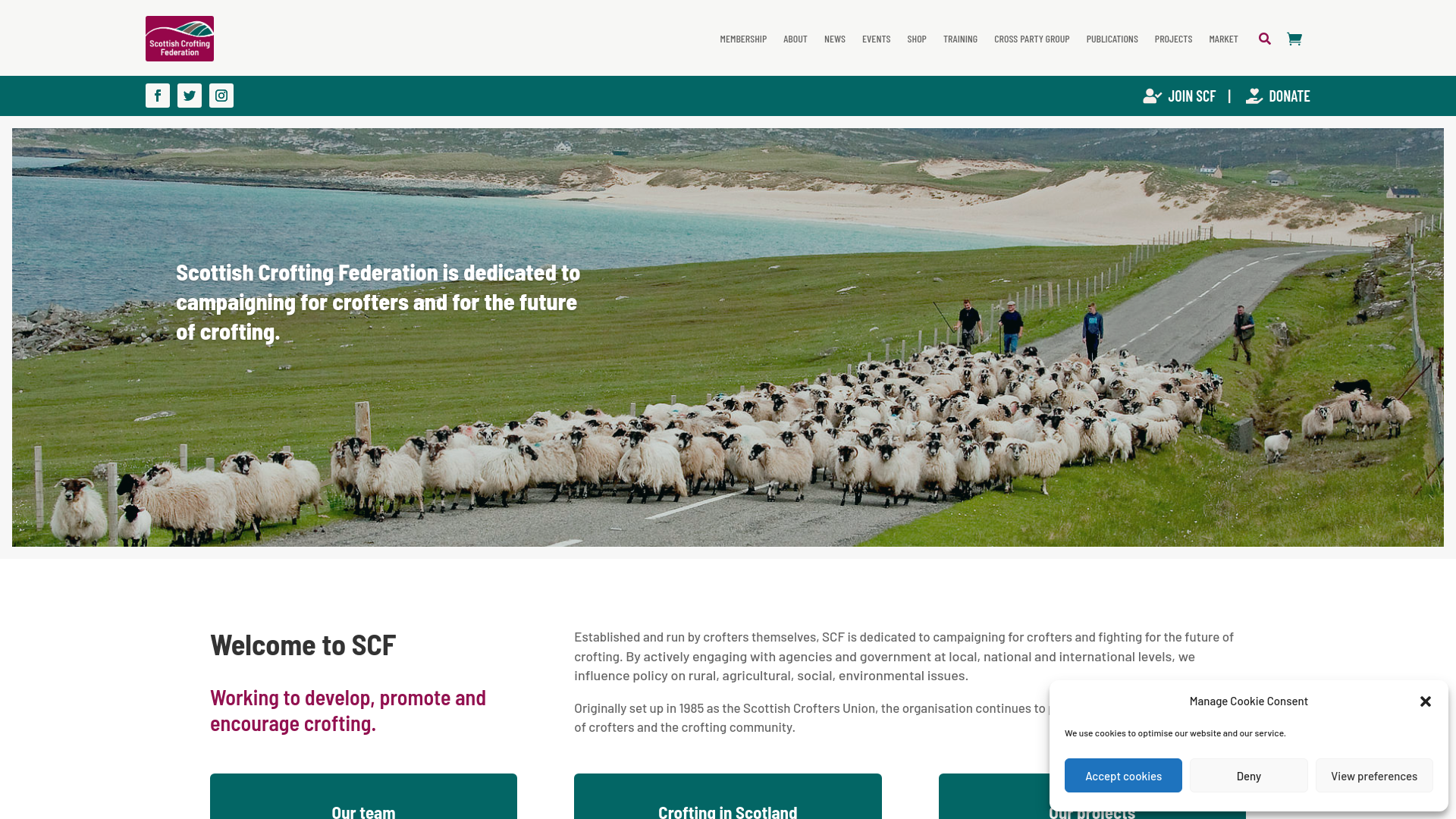 Website screenshot